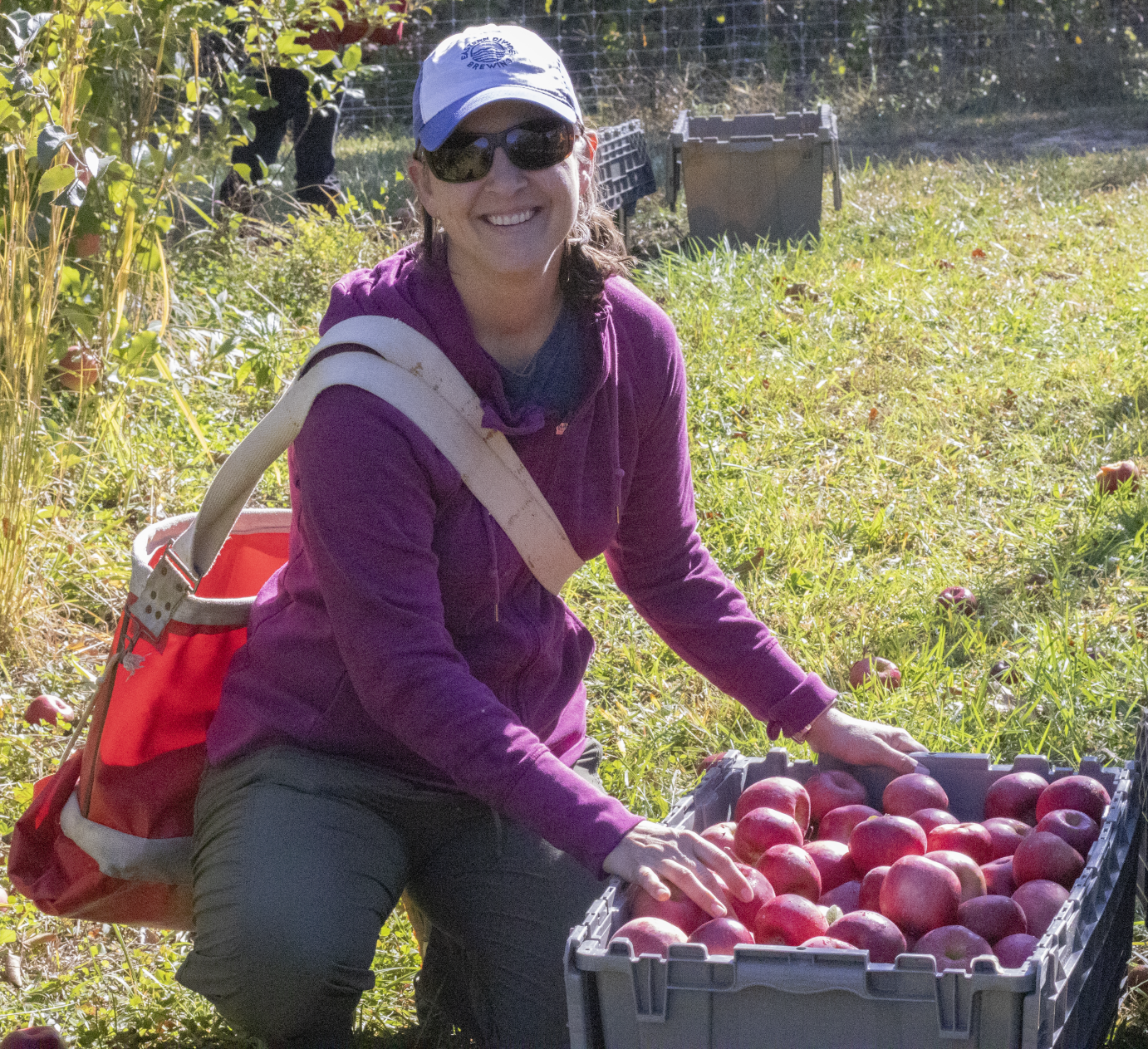 *New Editor | Susan Whitehead, subject editor for Oikos