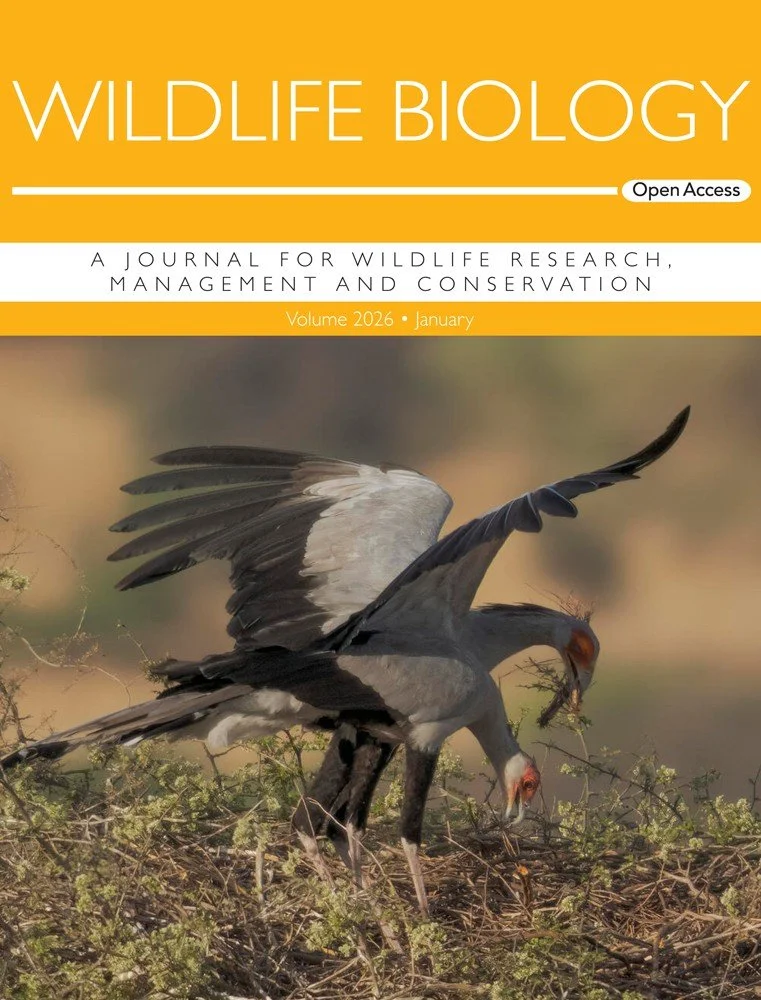 Cover | How does grassland fragmentation affect secretarybirds?
