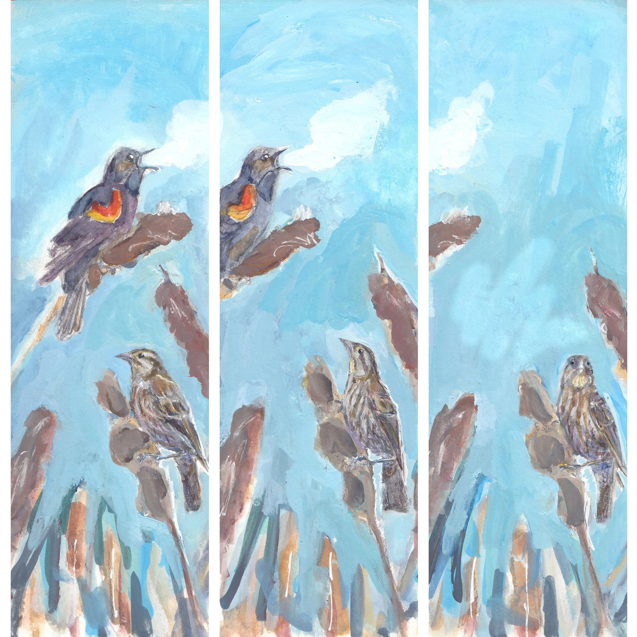 *Forum | Why sex matters in phenological research