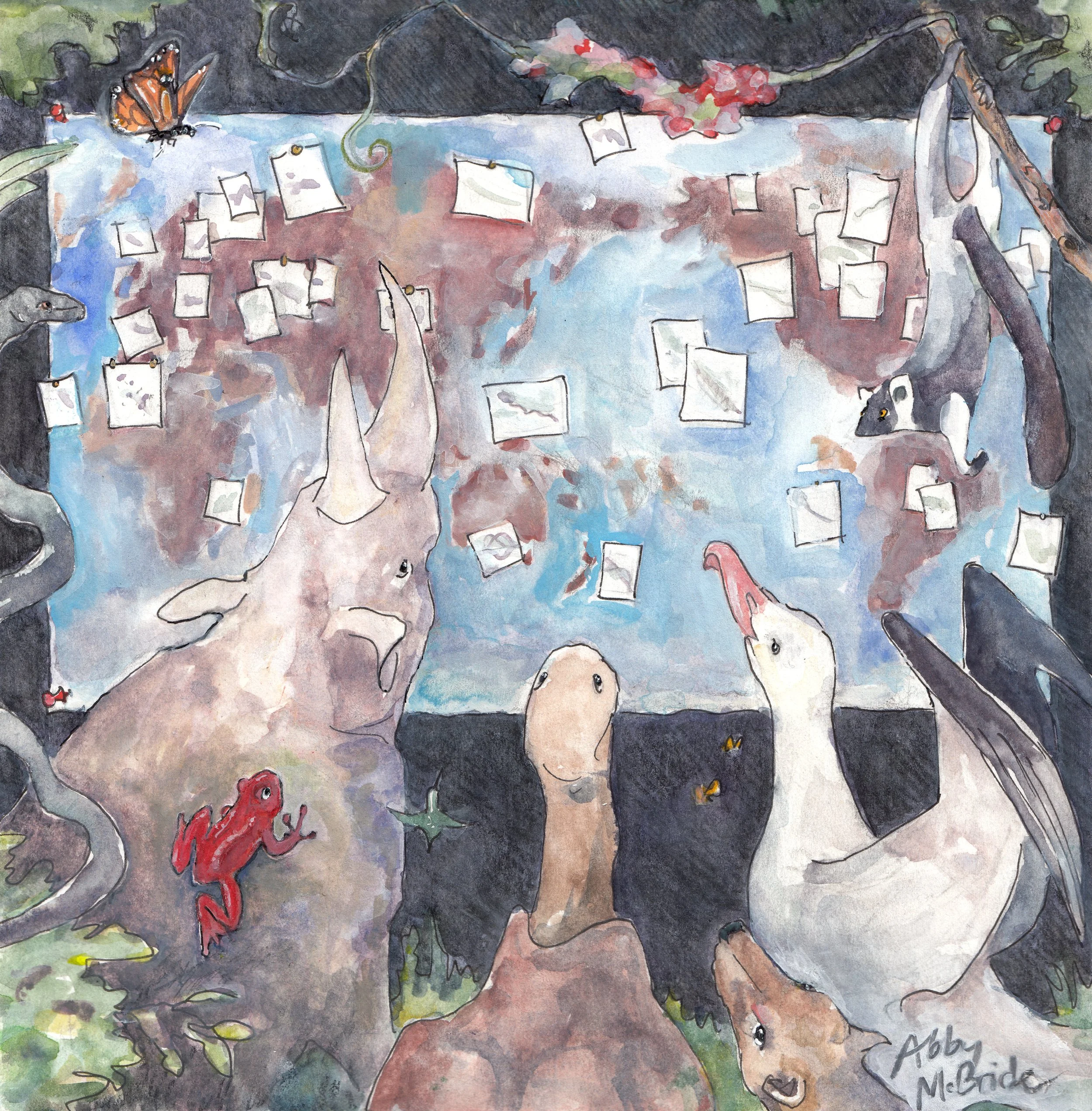 Forum | Sources of confusion in global biodiversity trends