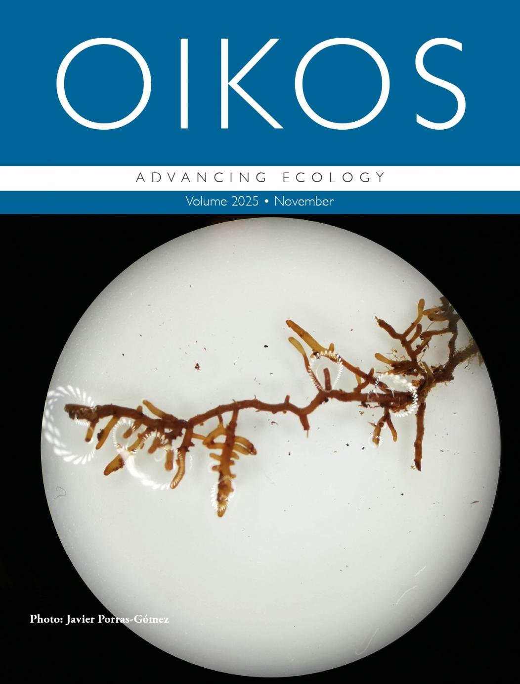 oikos_2025_11_cover_01_page-0001.jpg