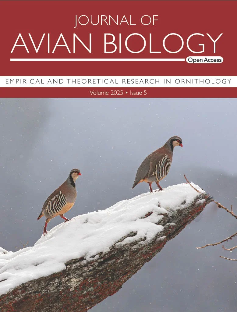 *Cover | Incubation behaviour in a double-nesting alpine bird Alectoris graeca saxatilis: similar nest attendance by males and females