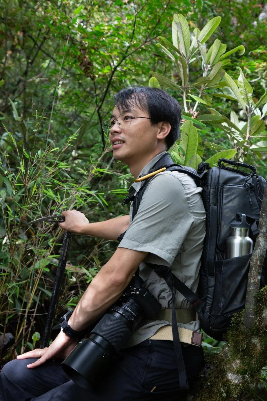 New Editor | Tao Deng, subject editor for Chinese vascular plants