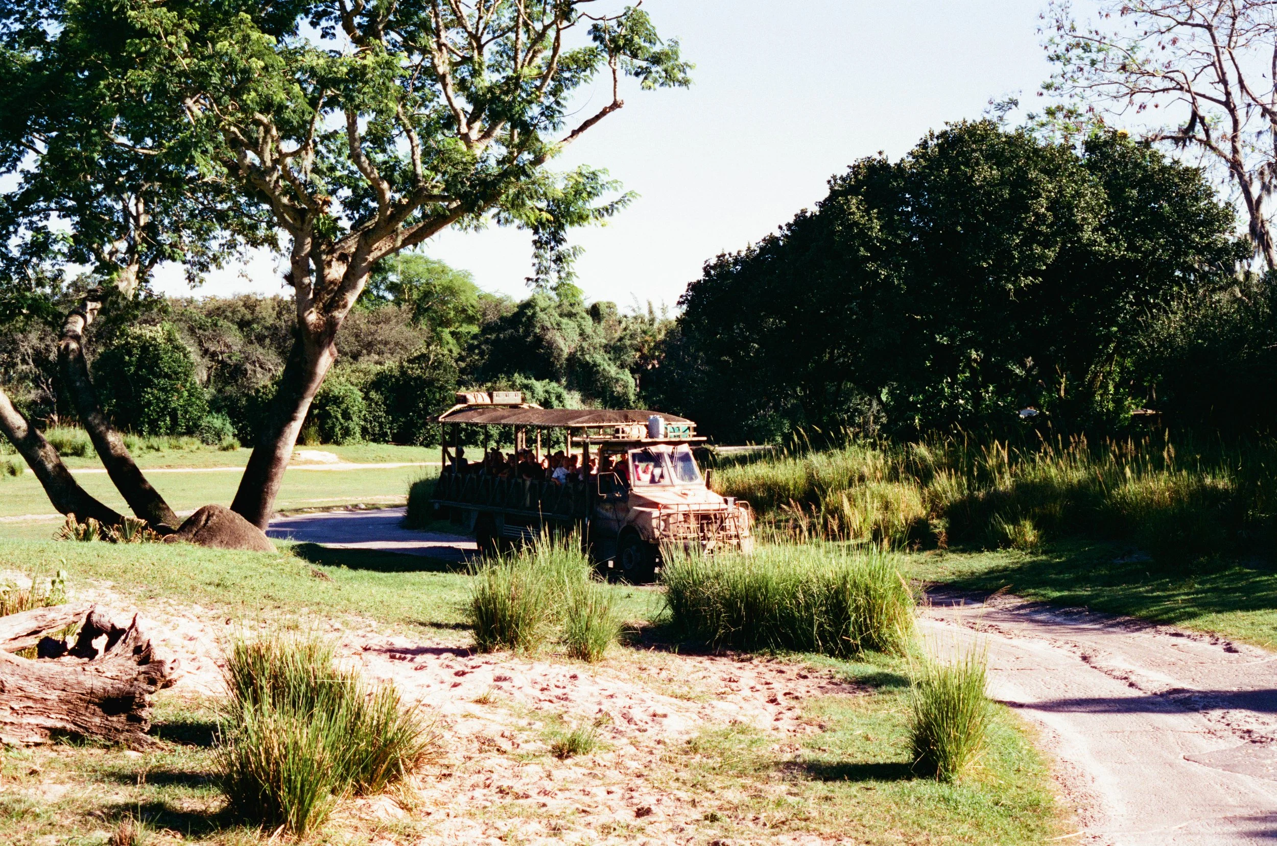 dakfilm-13.jpg