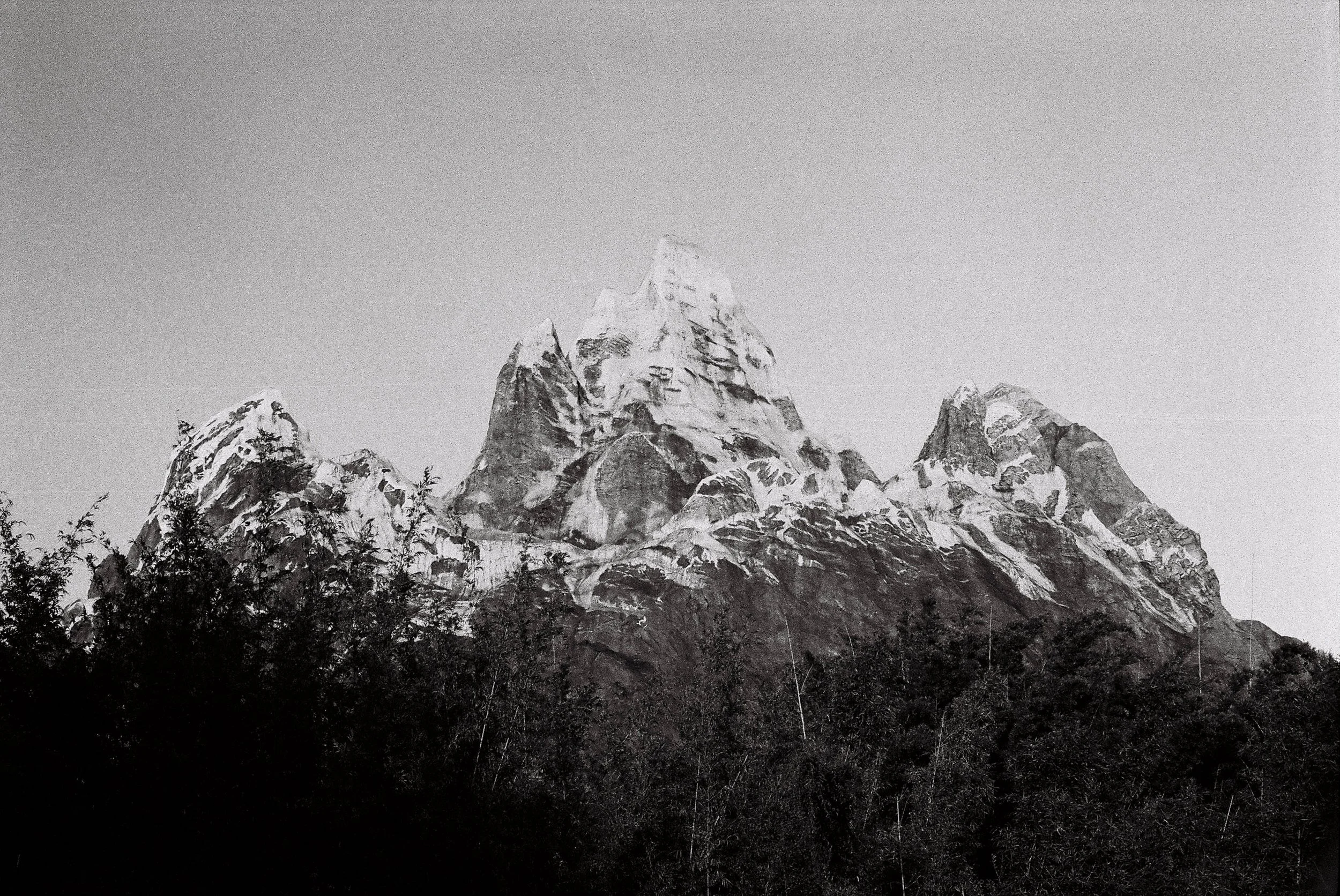 dakfilm-8.jpg