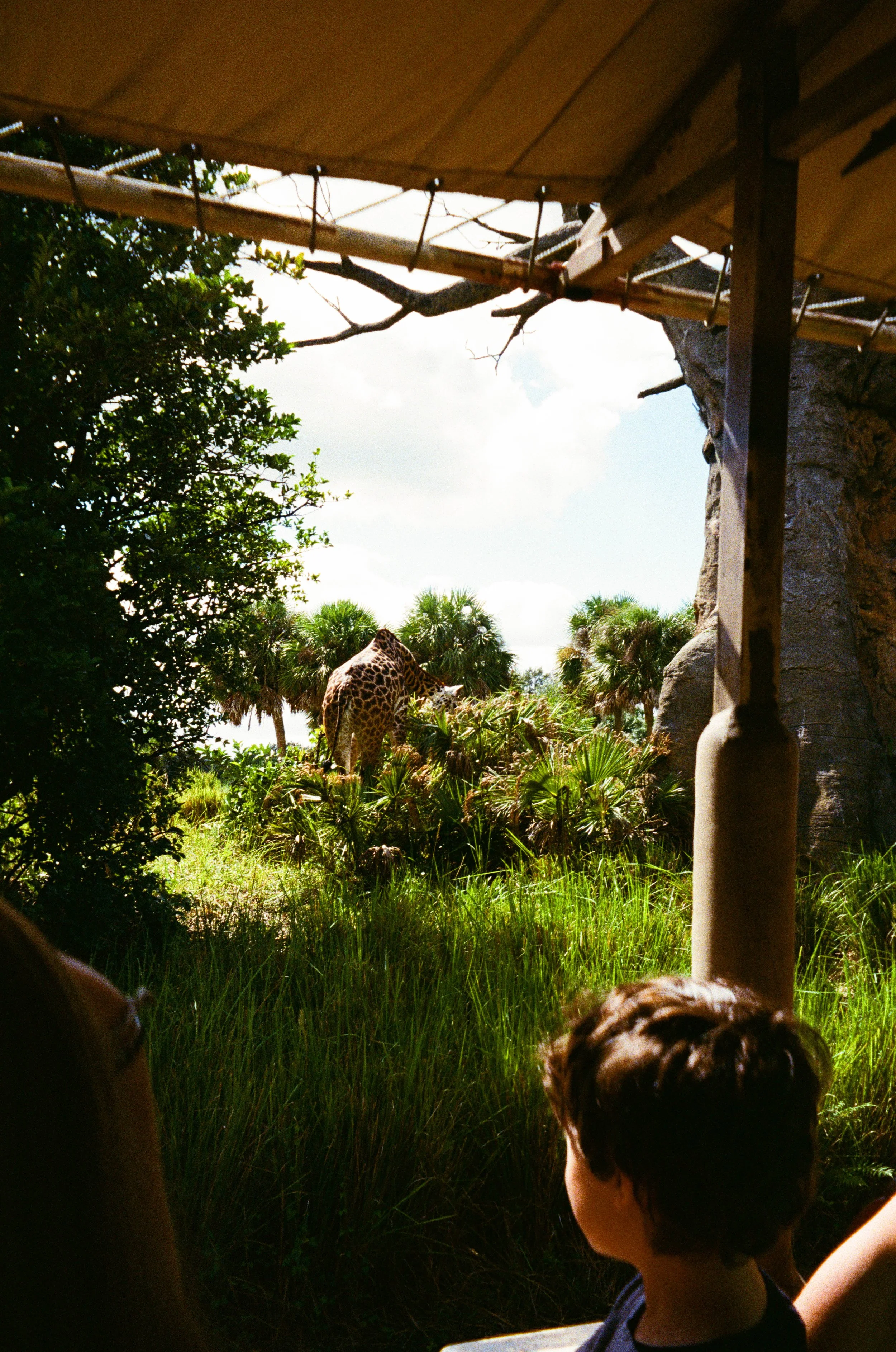 dakfilm-17.jpg