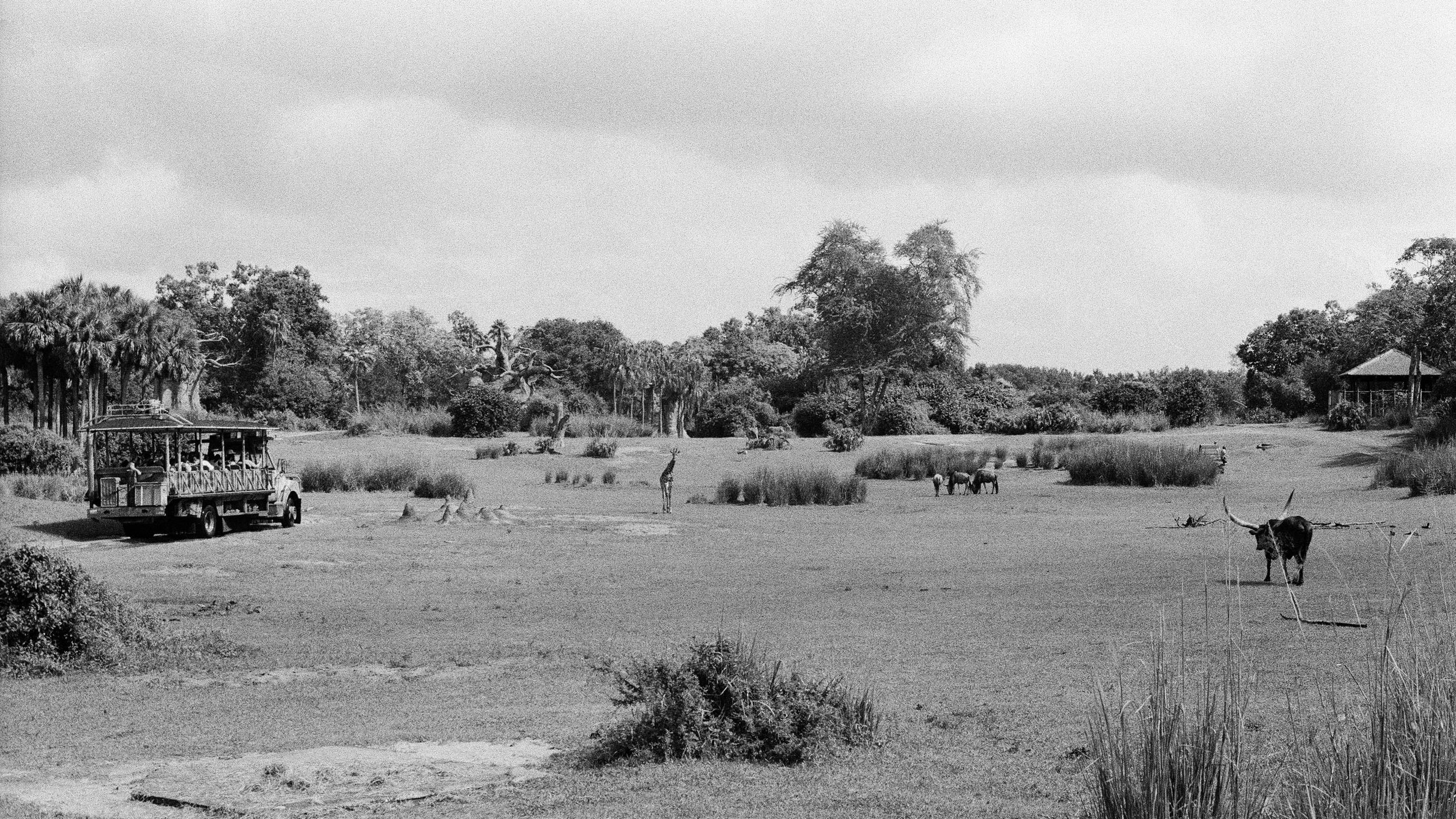 dakfilm-6.jpg