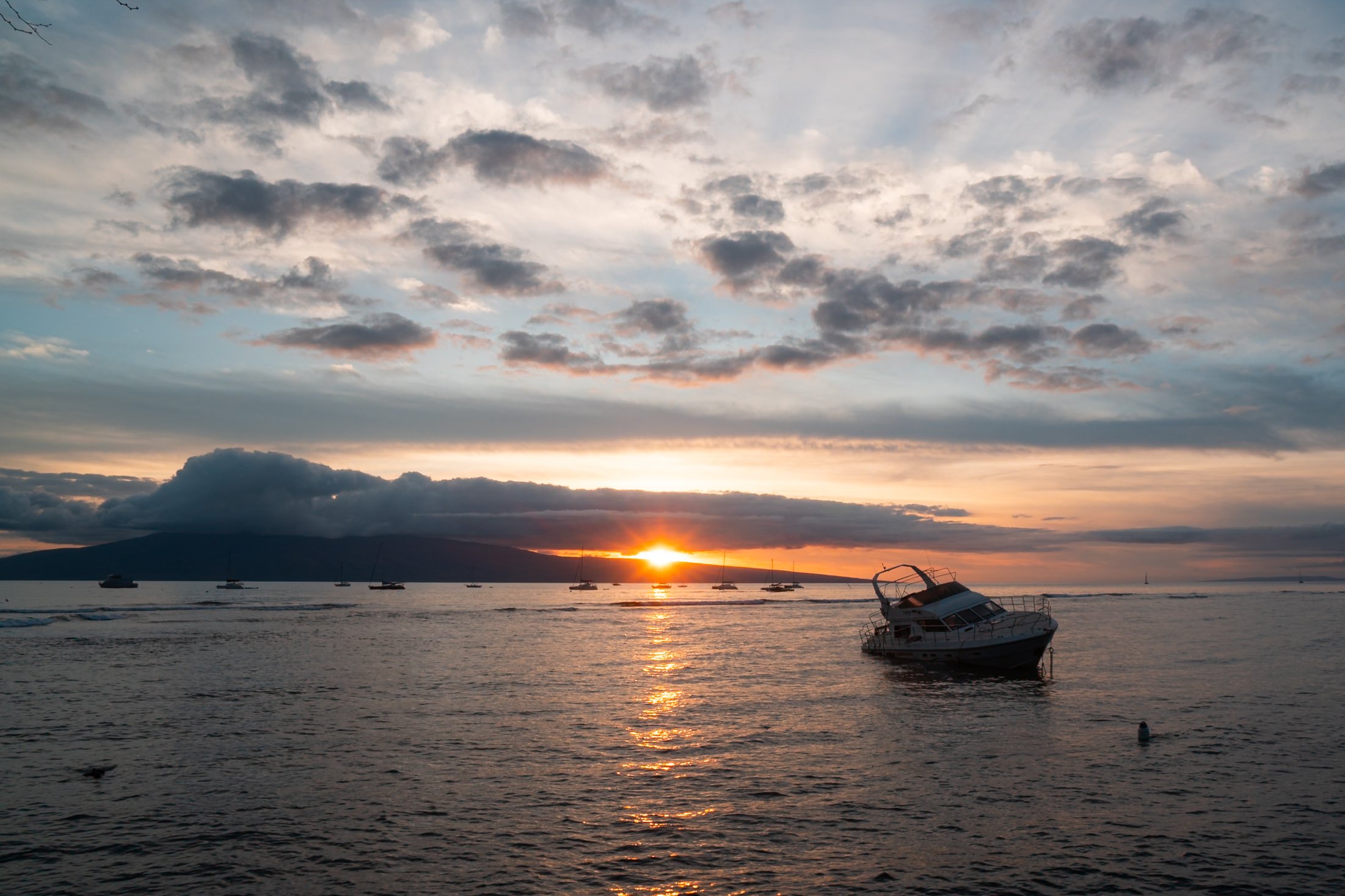 DSC08113.jpg