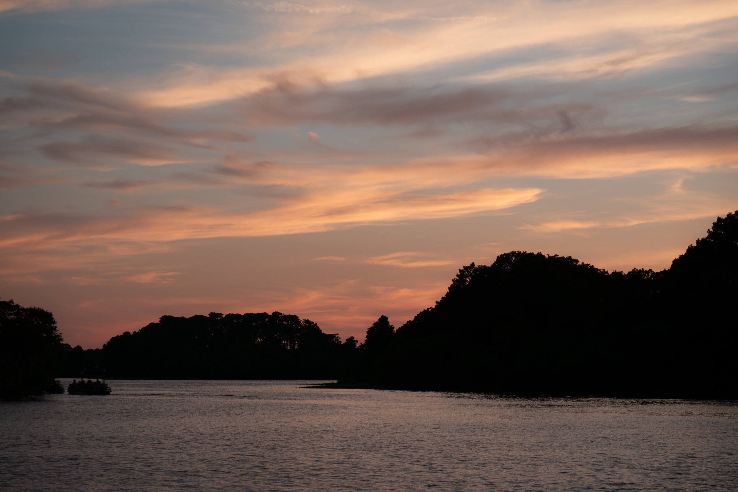 DSC03669.jpg