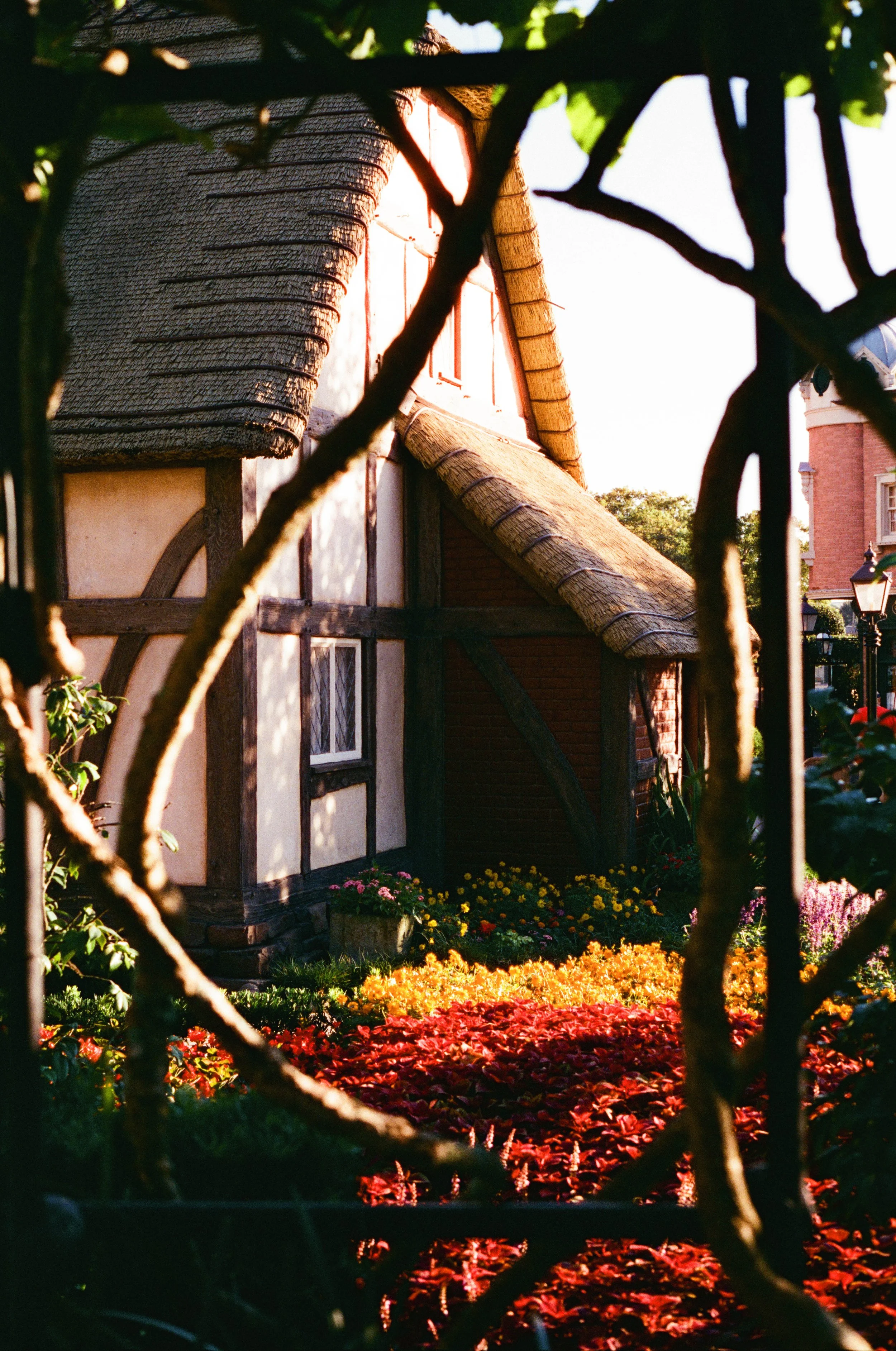 parksfilm-28.jpg