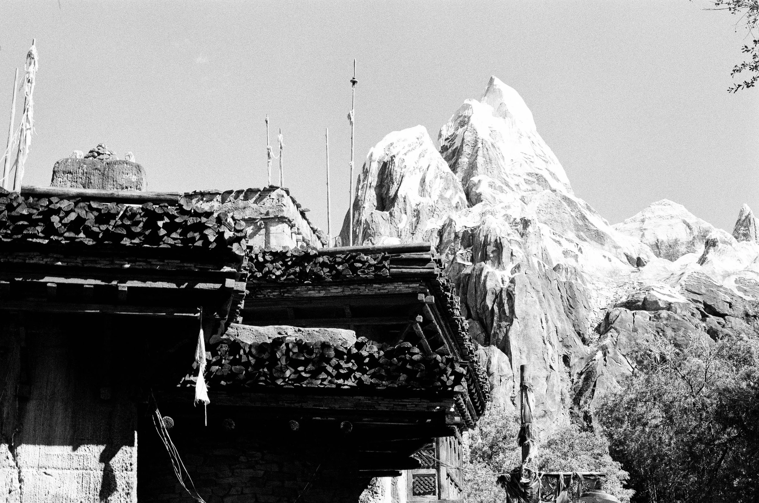 dakfilm-5.jpg