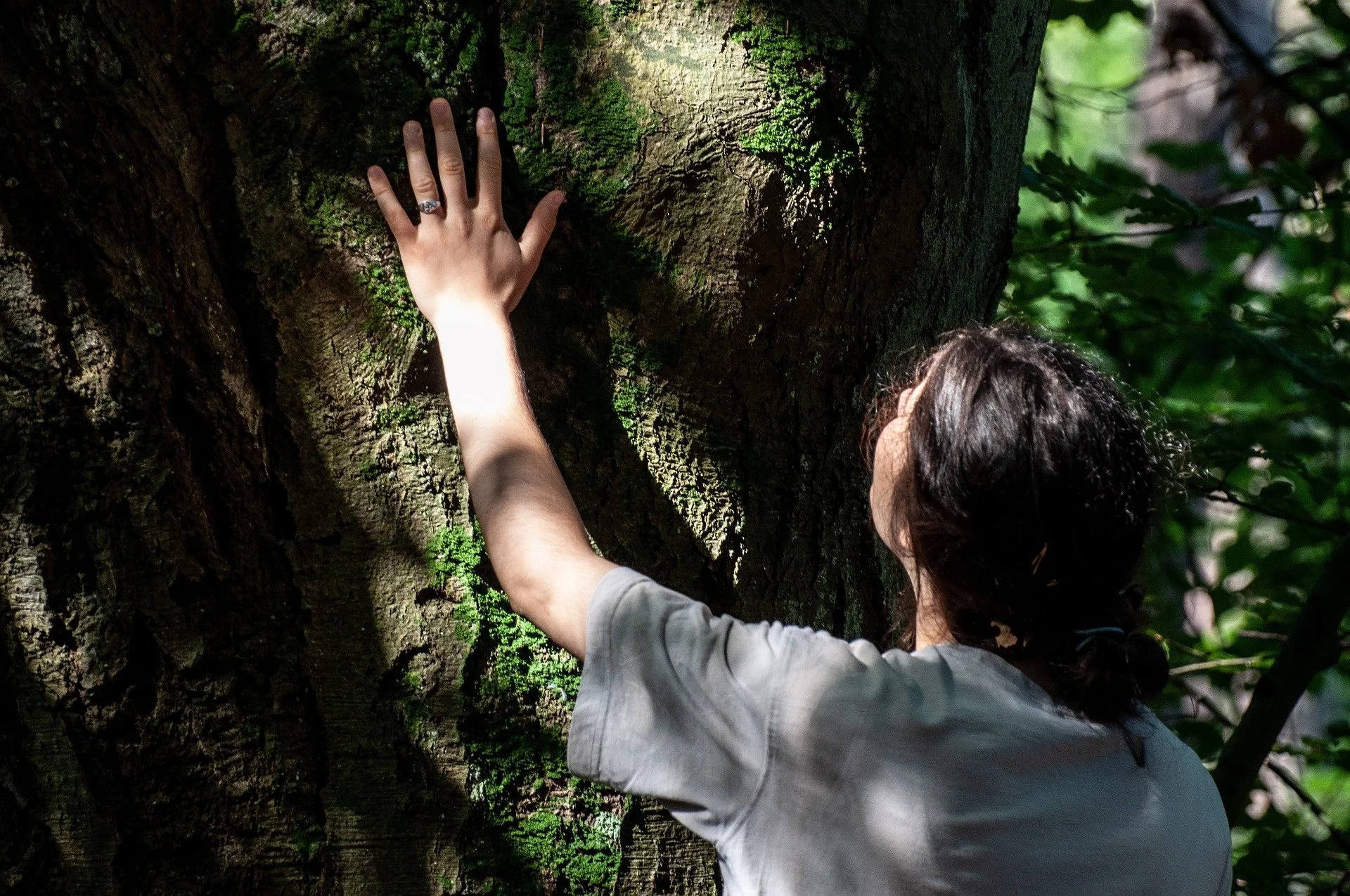 A person with dark hair, wearing a gray shirt, is reaching out and touching the trunk of a large, textured tree with moss and bark in a forest setting.