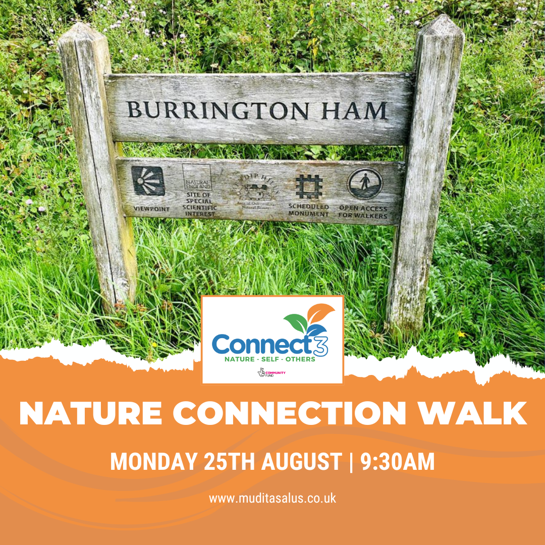 Connect3 Walk – Burrington Ham