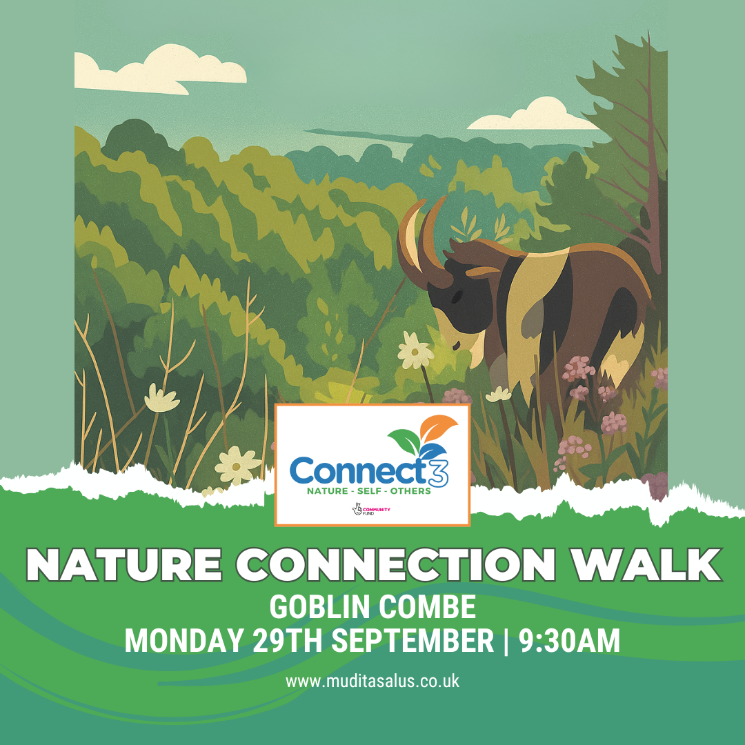 Connect3 Longer Walk – Goblin Combe (Approx. 5 miles)