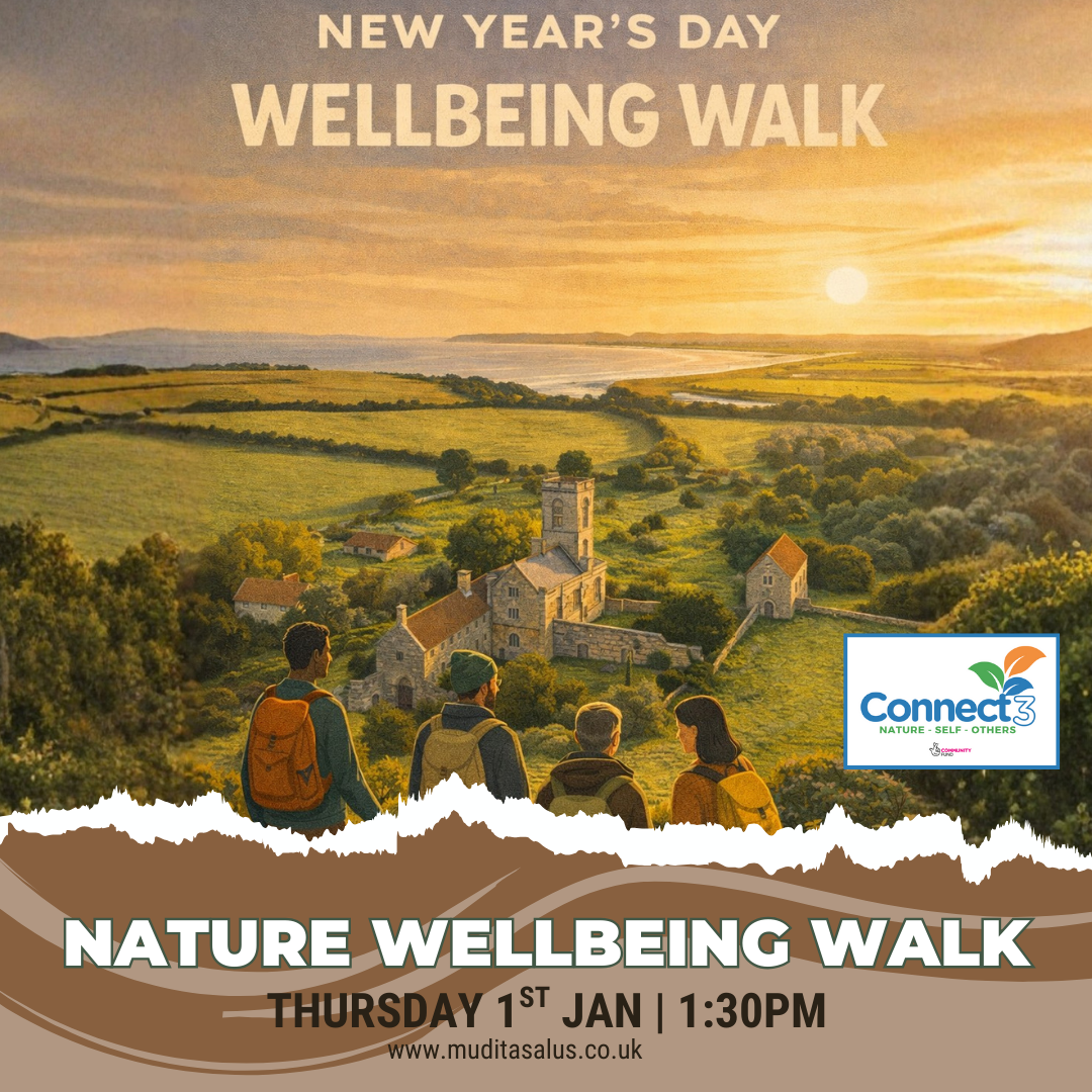 NEW YEARS DAY: Connect3 Extended Walk: Sand Point Circular (near Weston-super-Mare)