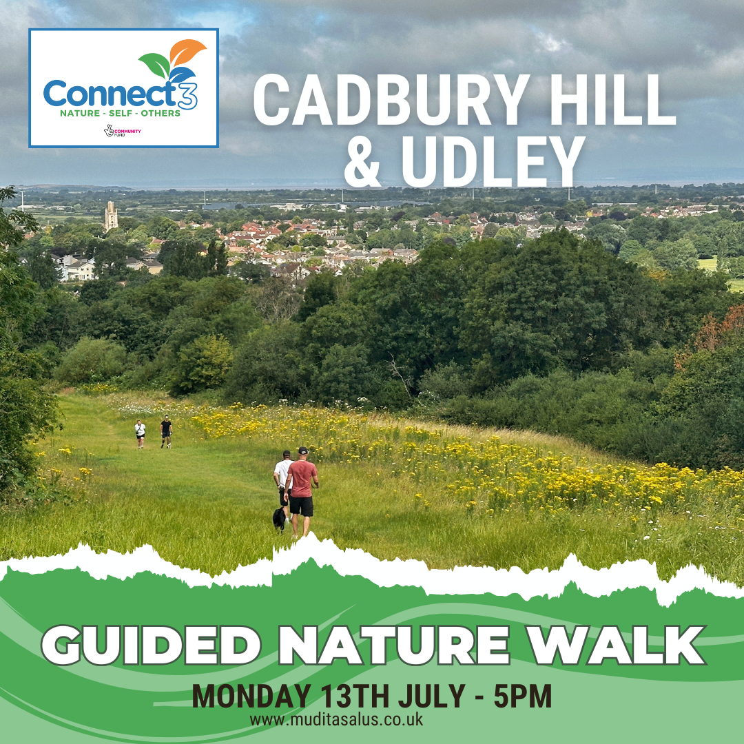 Connect3 – Longer Nature Walk Cadbury Hill & Udley