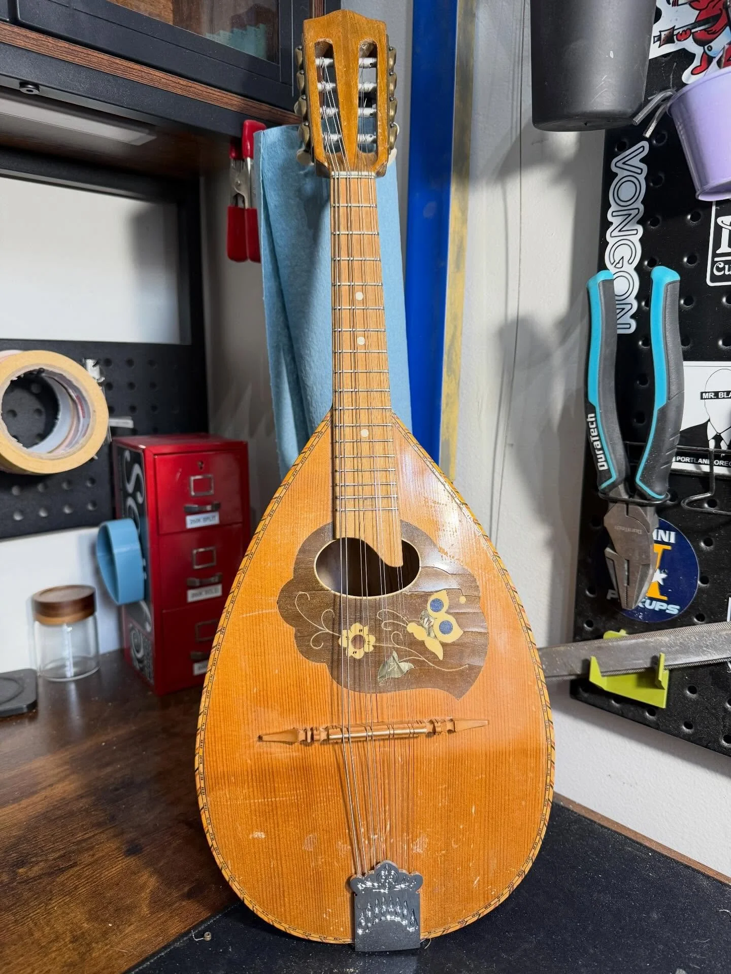 Look at this lil guy!