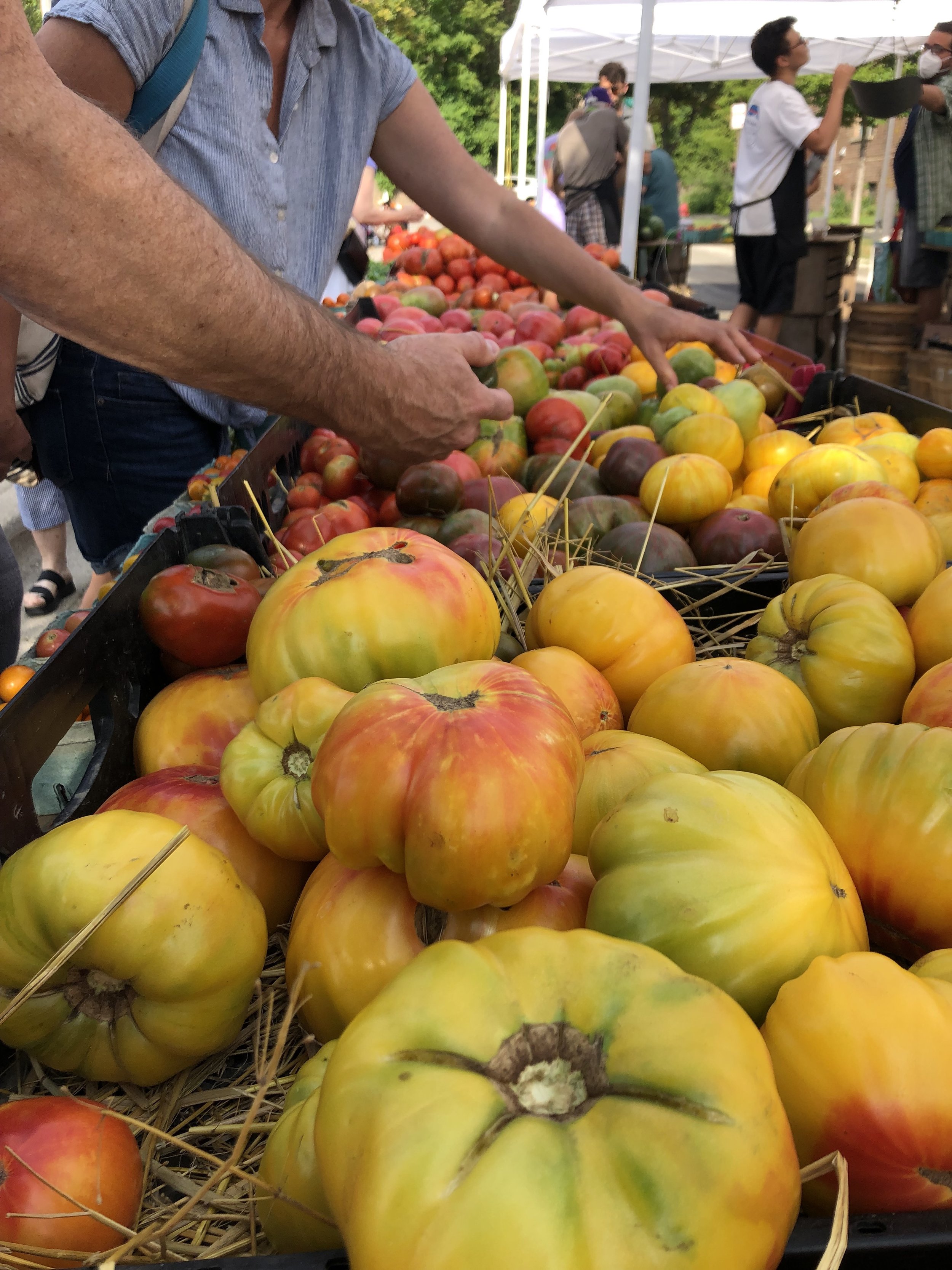 Henry's Farm stand at the Evanston market showcases his nearly 100 varieties of irresistibly delicious heirloom tomatoes all all colors, sizes and shapes.