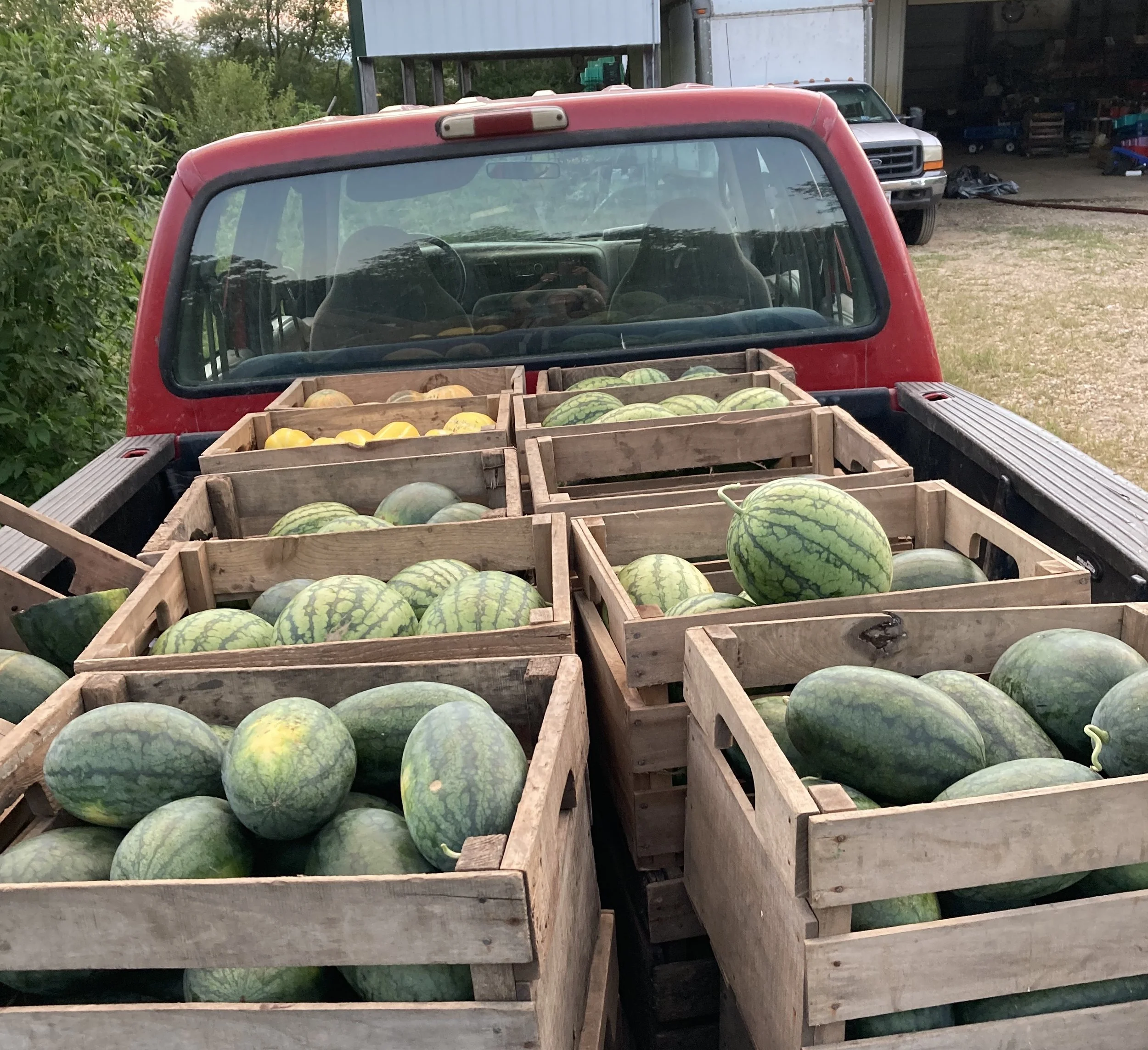 CSA #12 (8/12/2025)