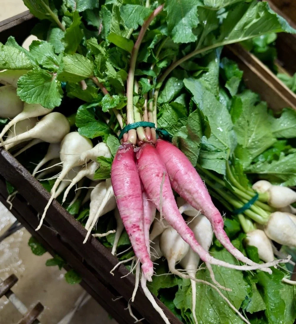 Market Notes for Sept. 6