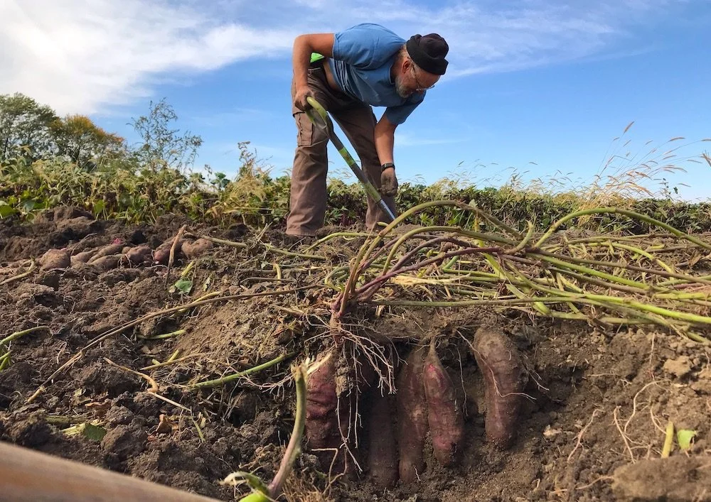 CSA #22 (10/21/2025)