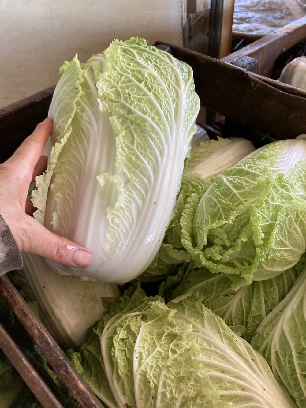 CSA #24 (11/4/2025) 