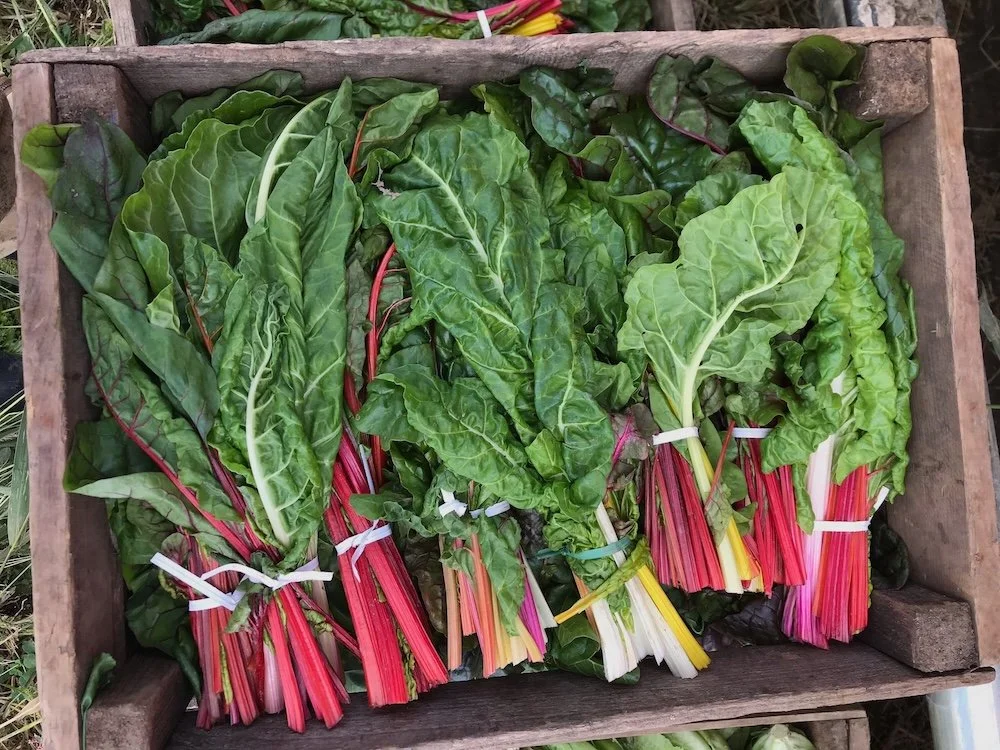 CSA #5 (6/23/26) 