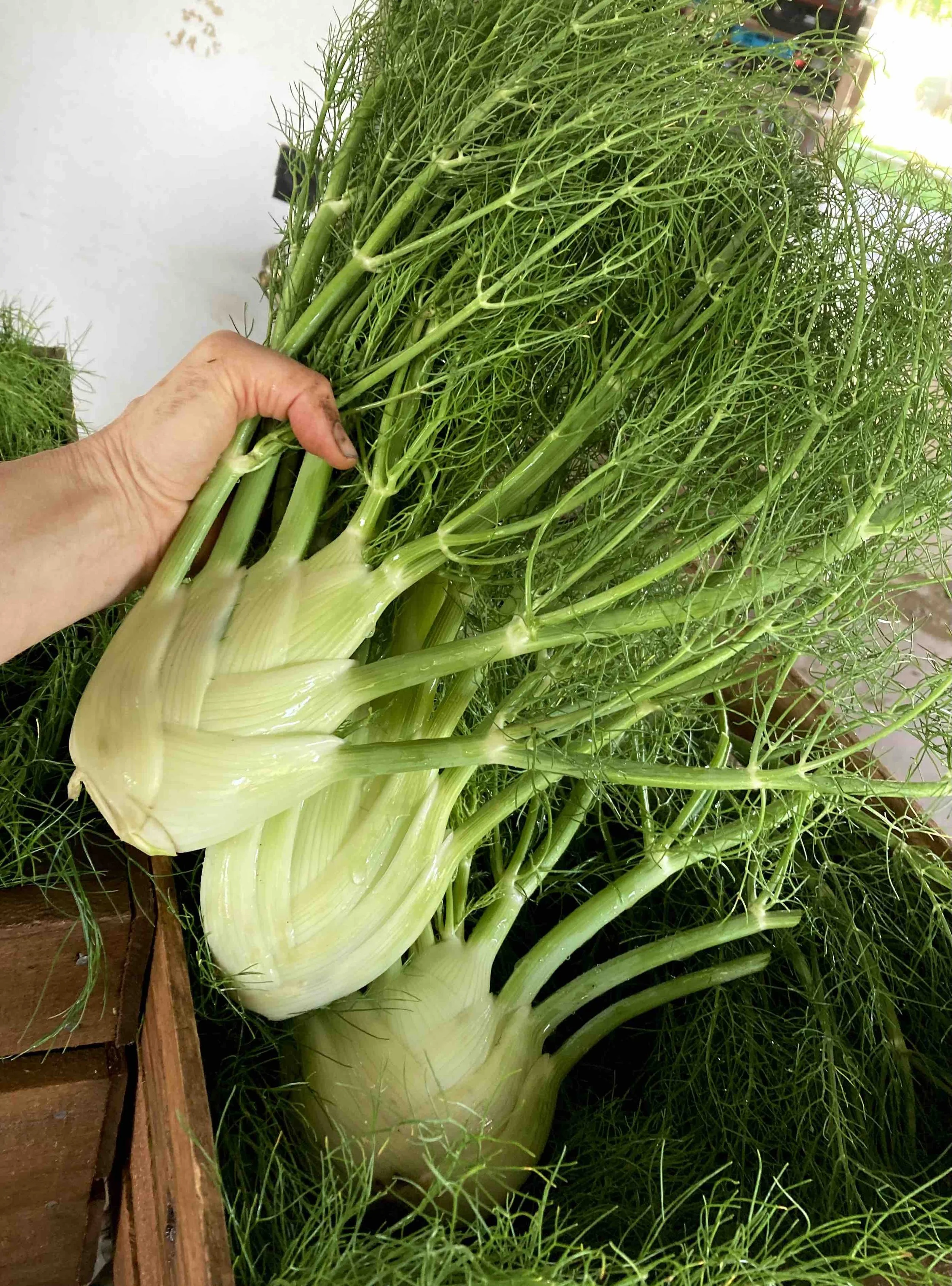 CSA #6 (6/30/26) 