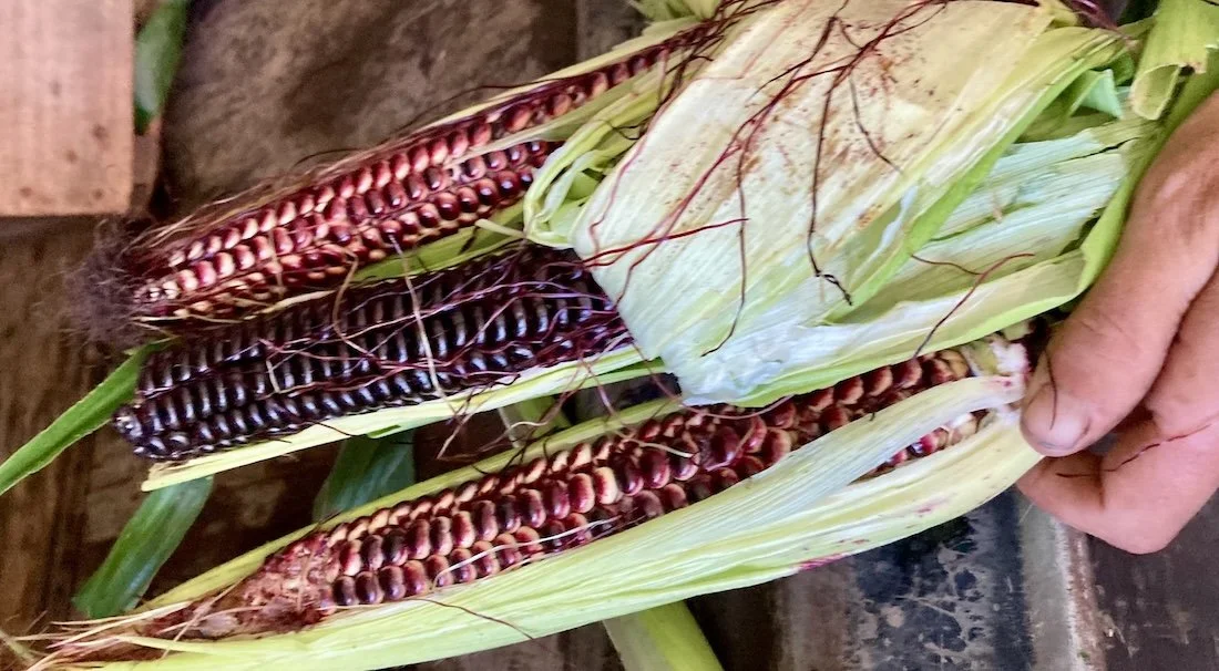 Food &amp; Farm Notes for July 18