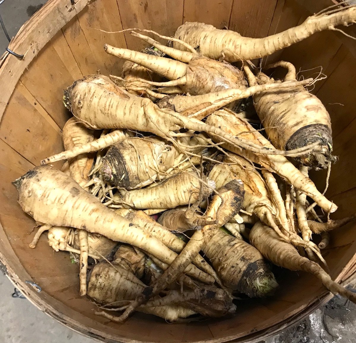 parsnips.jpeg