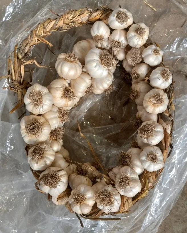 garlic braid wreath.jpeg