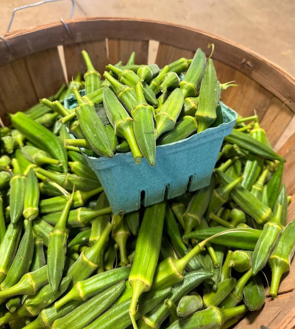 Okra