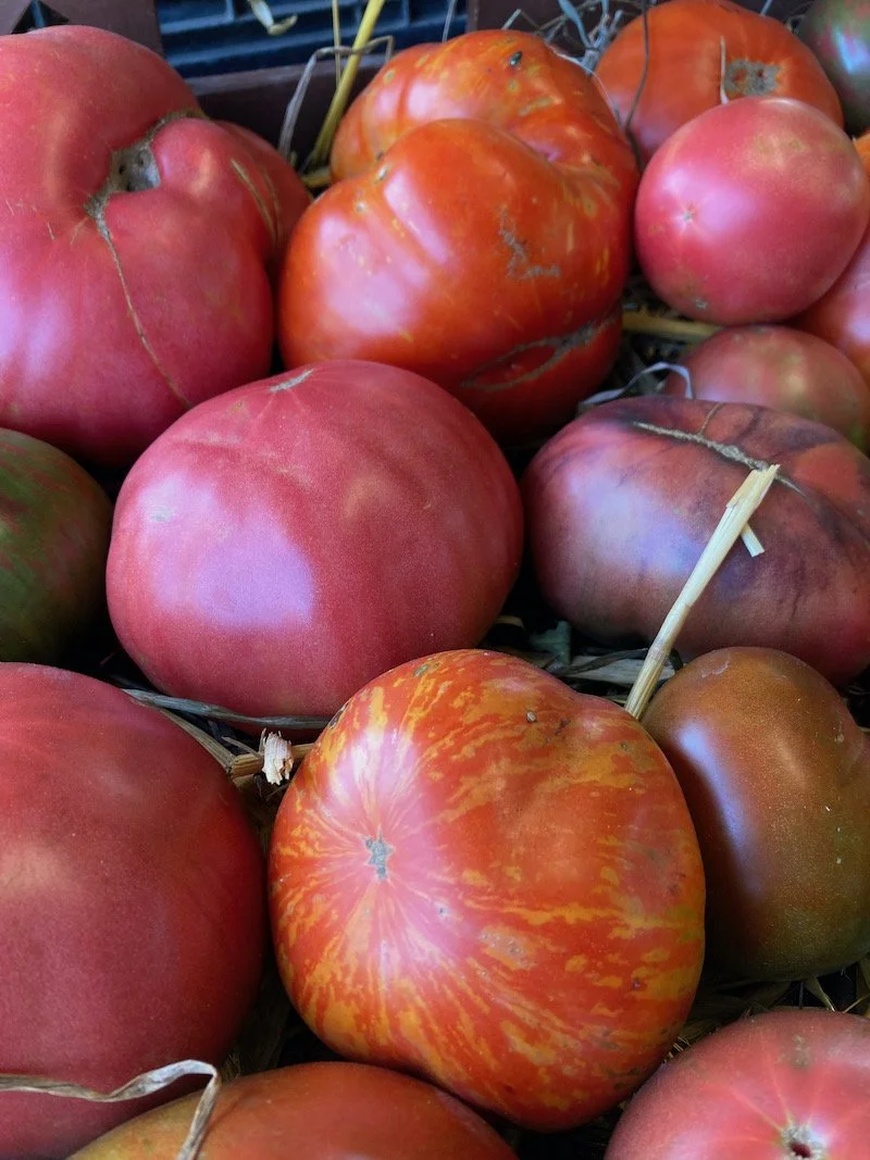 heirloom red tomatoes.jpeg