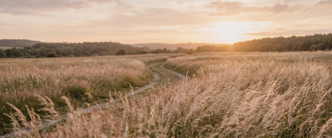 Soft golden field with a winding path at sunset, representing calm, clarity, and emotional relief in people-pleasing and boundaries therapy