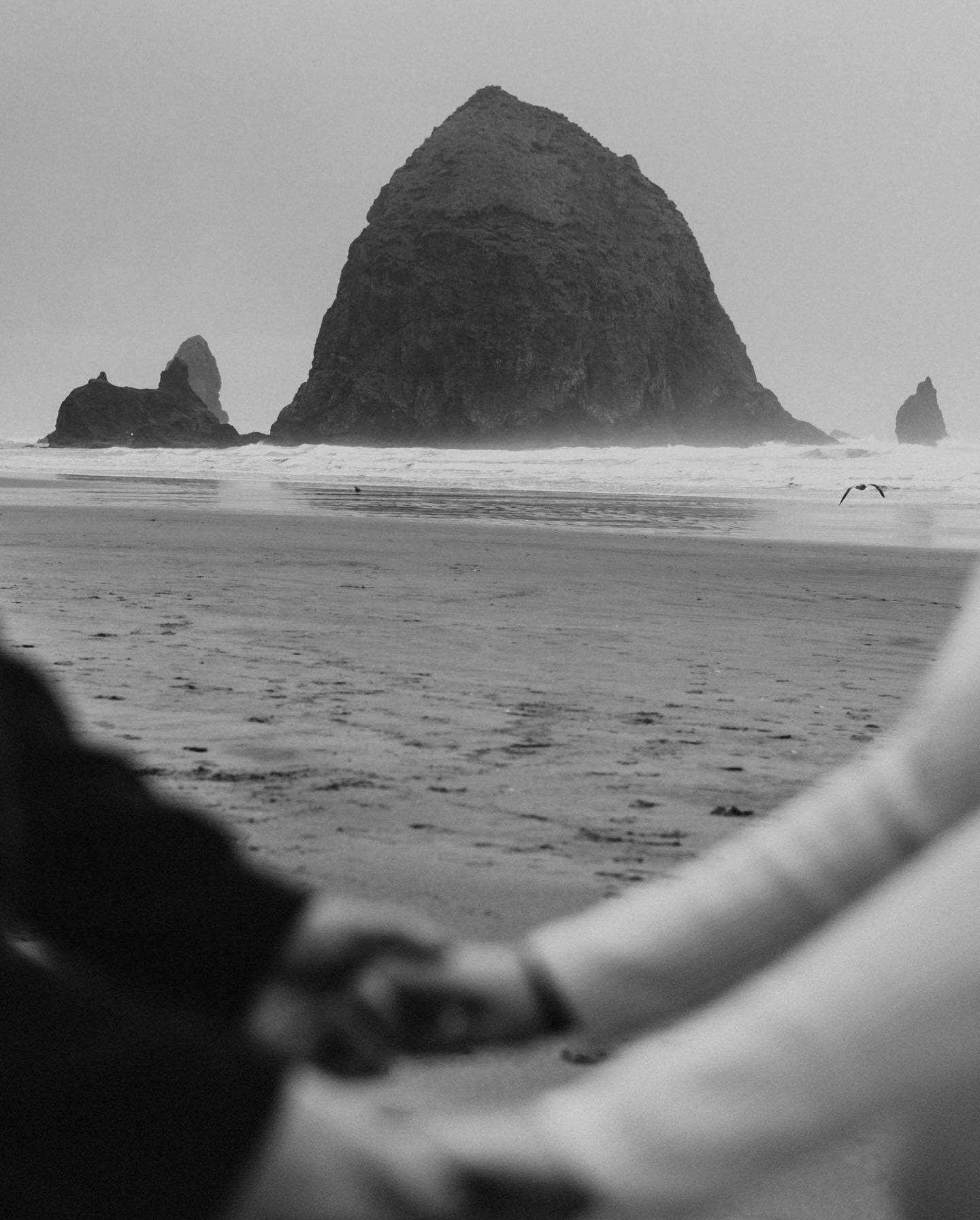 Nostalgic fuzzy B&amp;W Moments before two becomes three on from the Oregon Coast 🥹