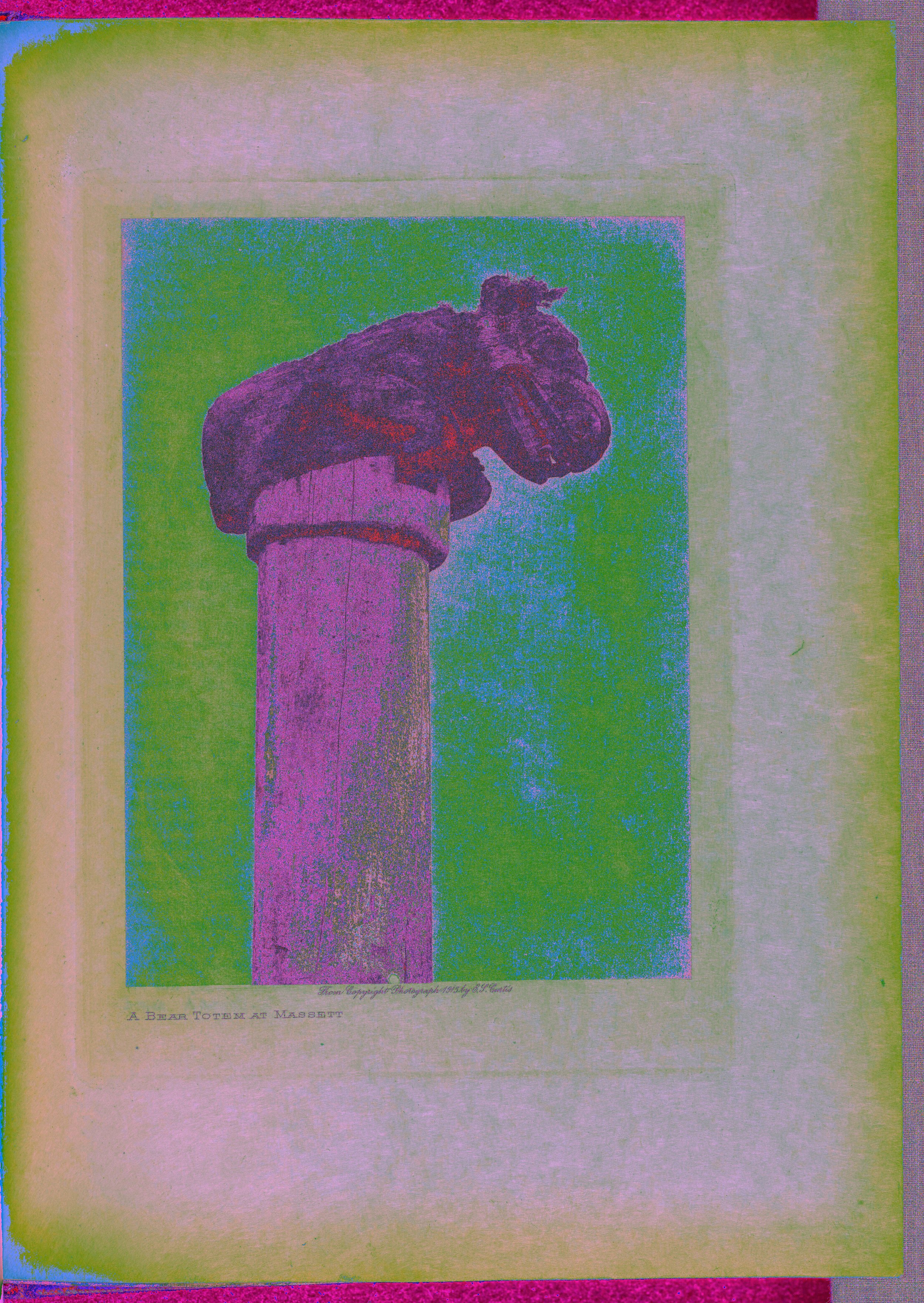 A Bear Totem at Massett
