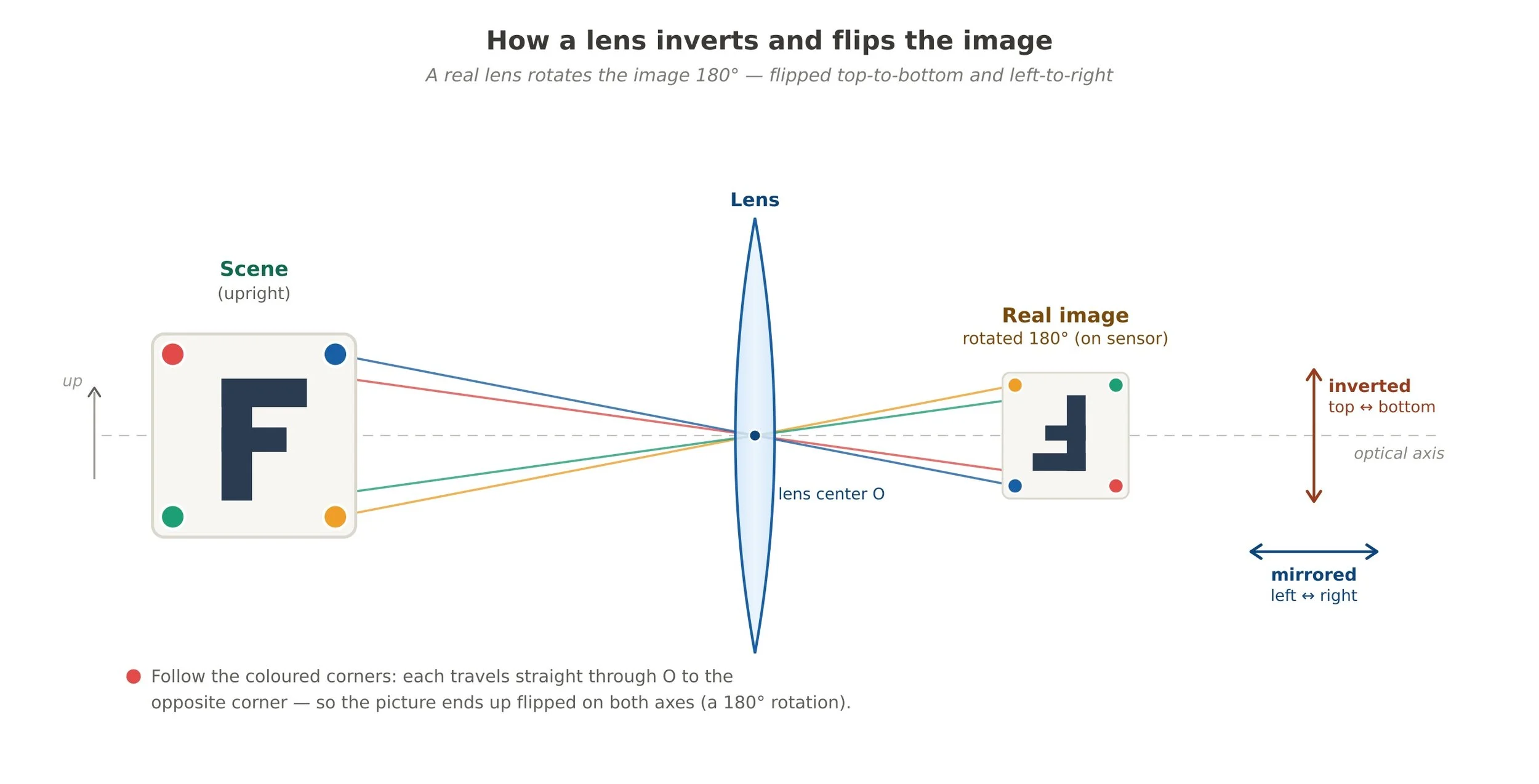 Diagram showing how a lens inverts and flips a subject, in this case the letter F