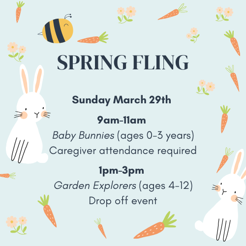 Dojo + Squarespace Posts.png