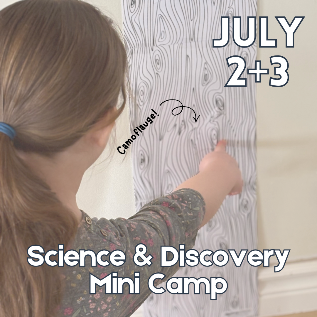 July 2 & 3 - Science & Discovery Mini Camp