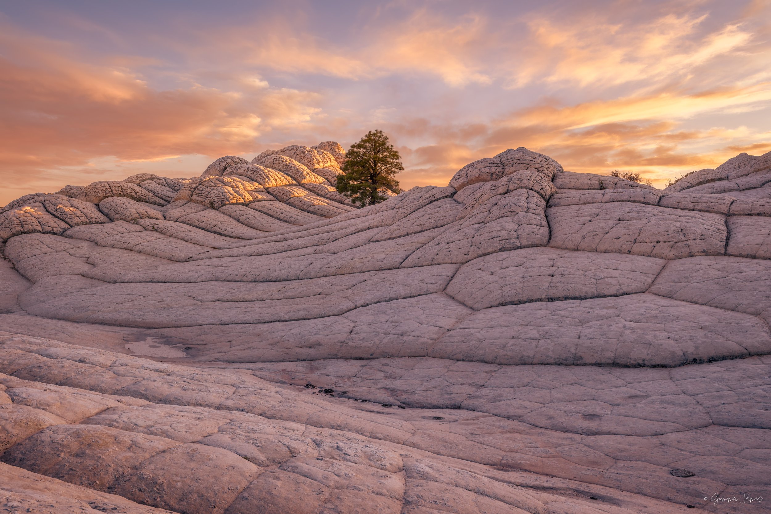 White Pocket Lone Tree Sunset (4x6) $2534, 36x24 $1411.jpg