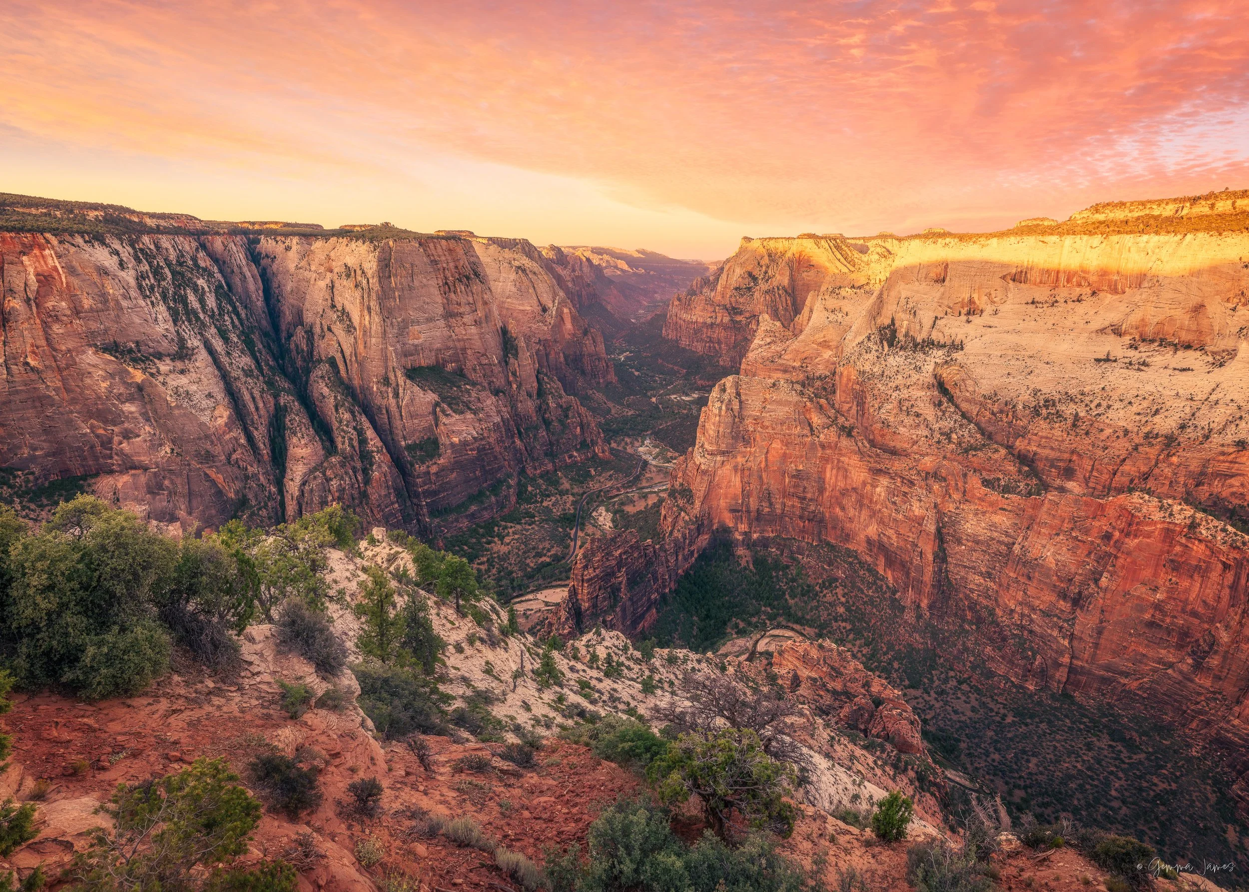 Zion Observation Point 49x35 (7x5) $2240, 35x25 $1,235.jpg