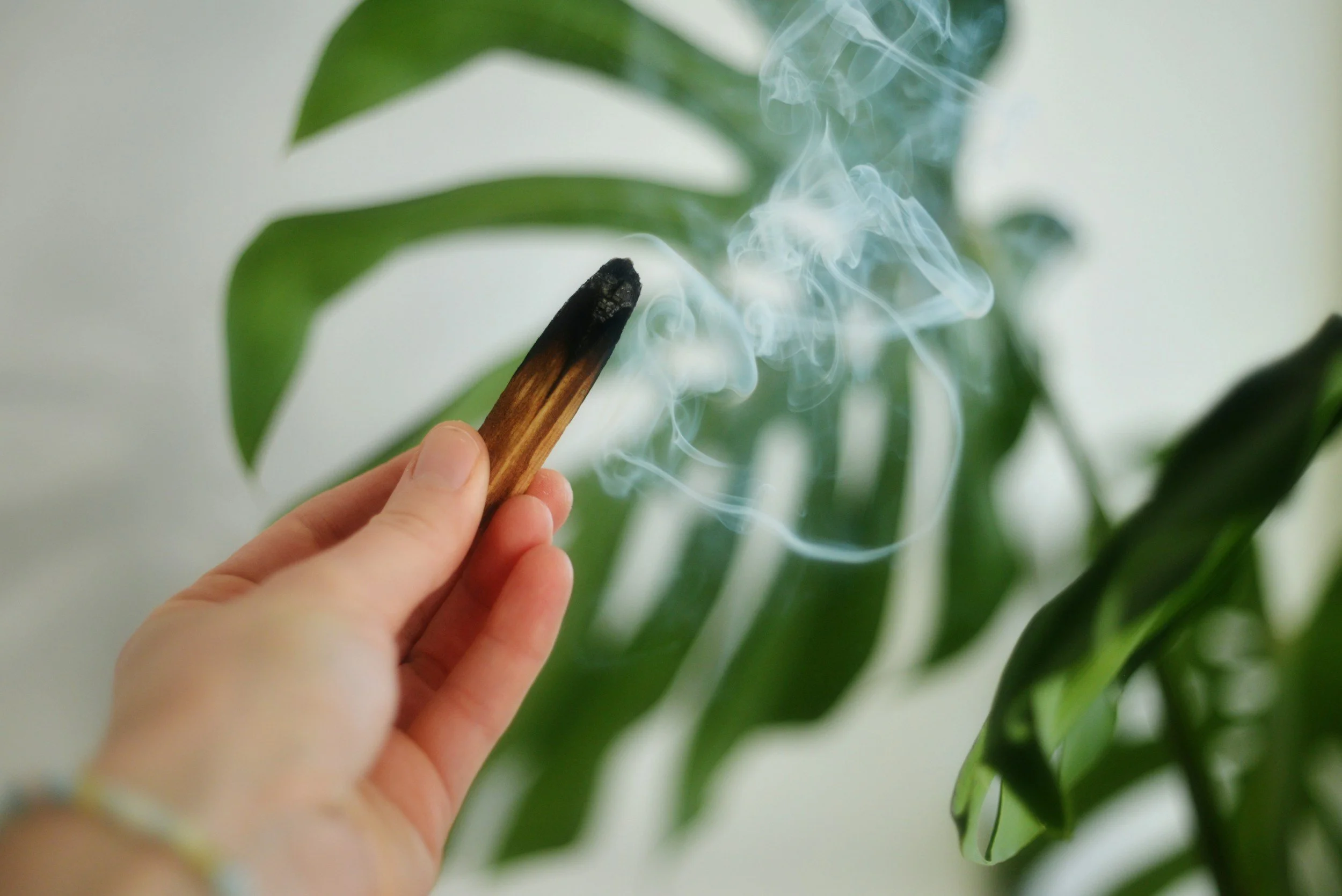palo Santo energy cleaning zen yoga brampton