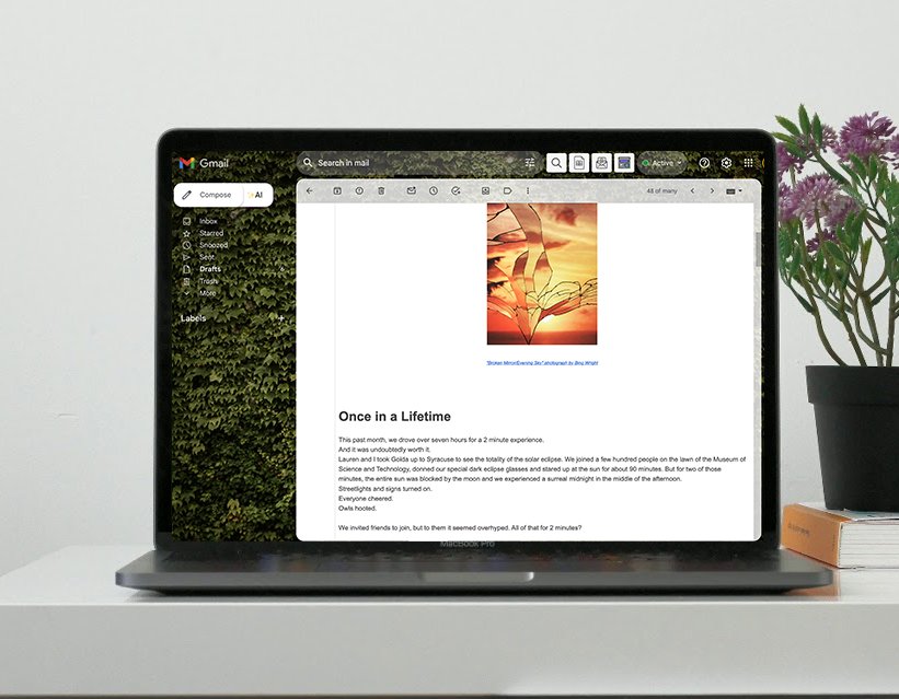 I write The Email Refrigerator with monthly insights and stories on a theme
Every month (since Dec '18) I choose a theme and write an email with several short essays connecting things going on in culture, in my life, and in the news around that to