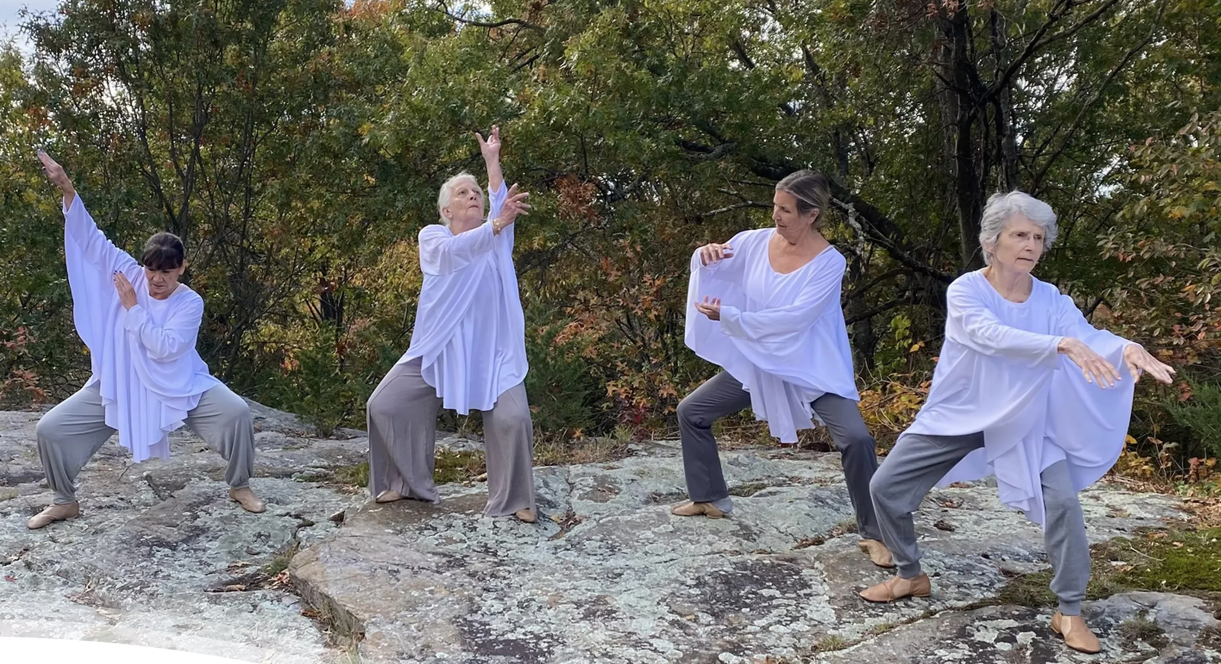 Balliamo Dance Collective Winter Concert