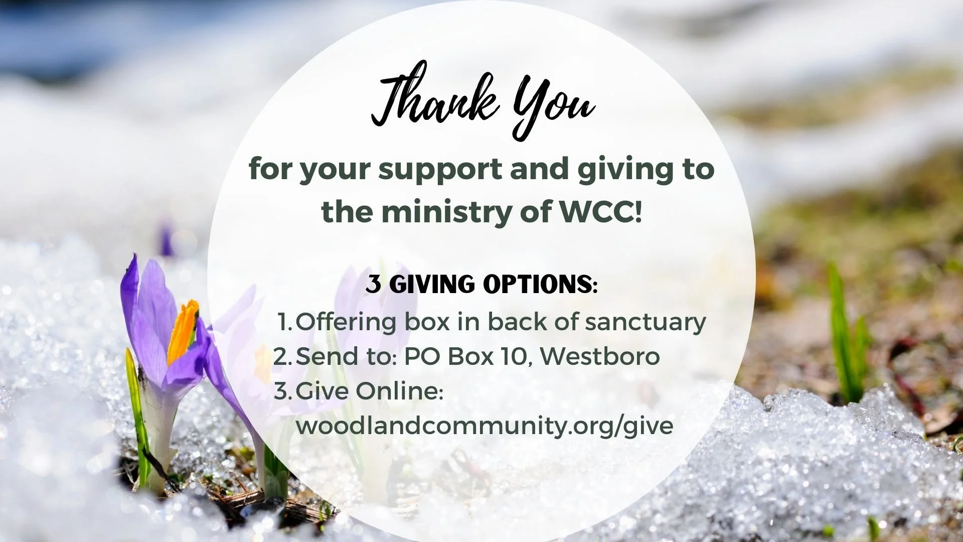 Announcement Loop (2).jpg