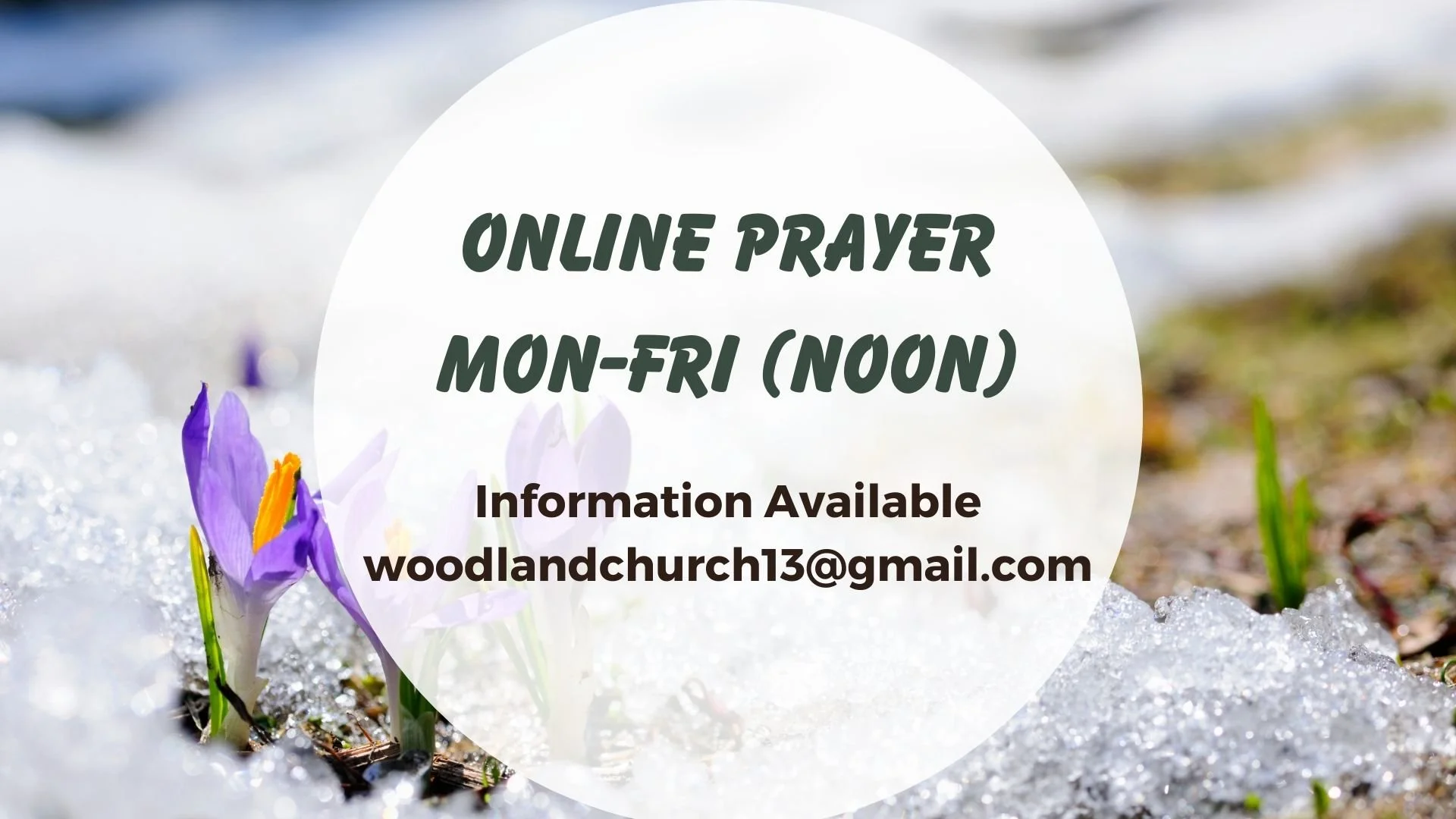 Announcement Loop (3).jpg