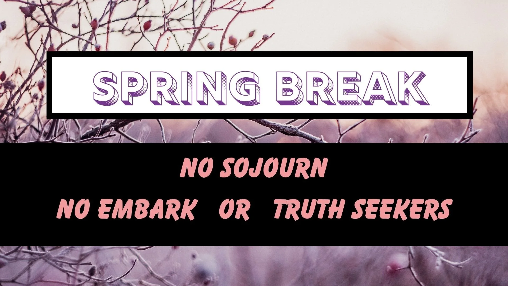 Announcement Loop (4).jpg