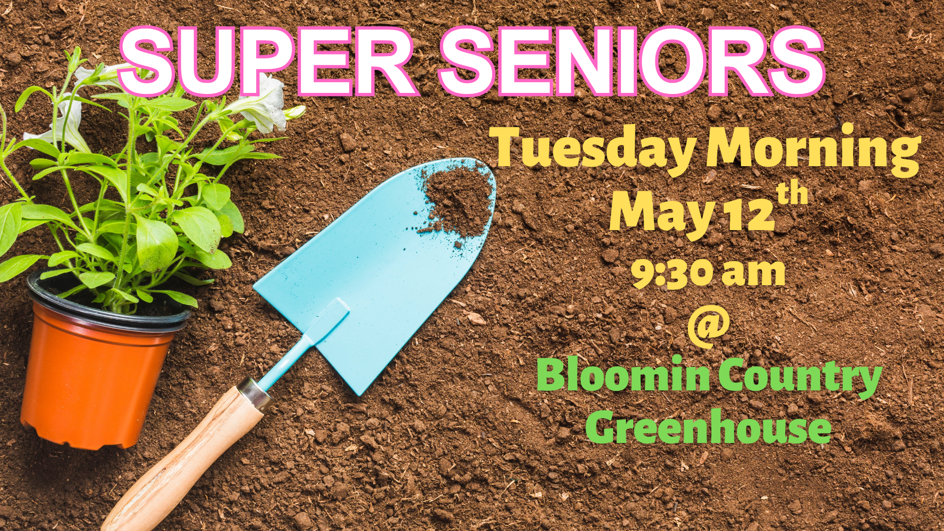 Announcement Loop-5.png