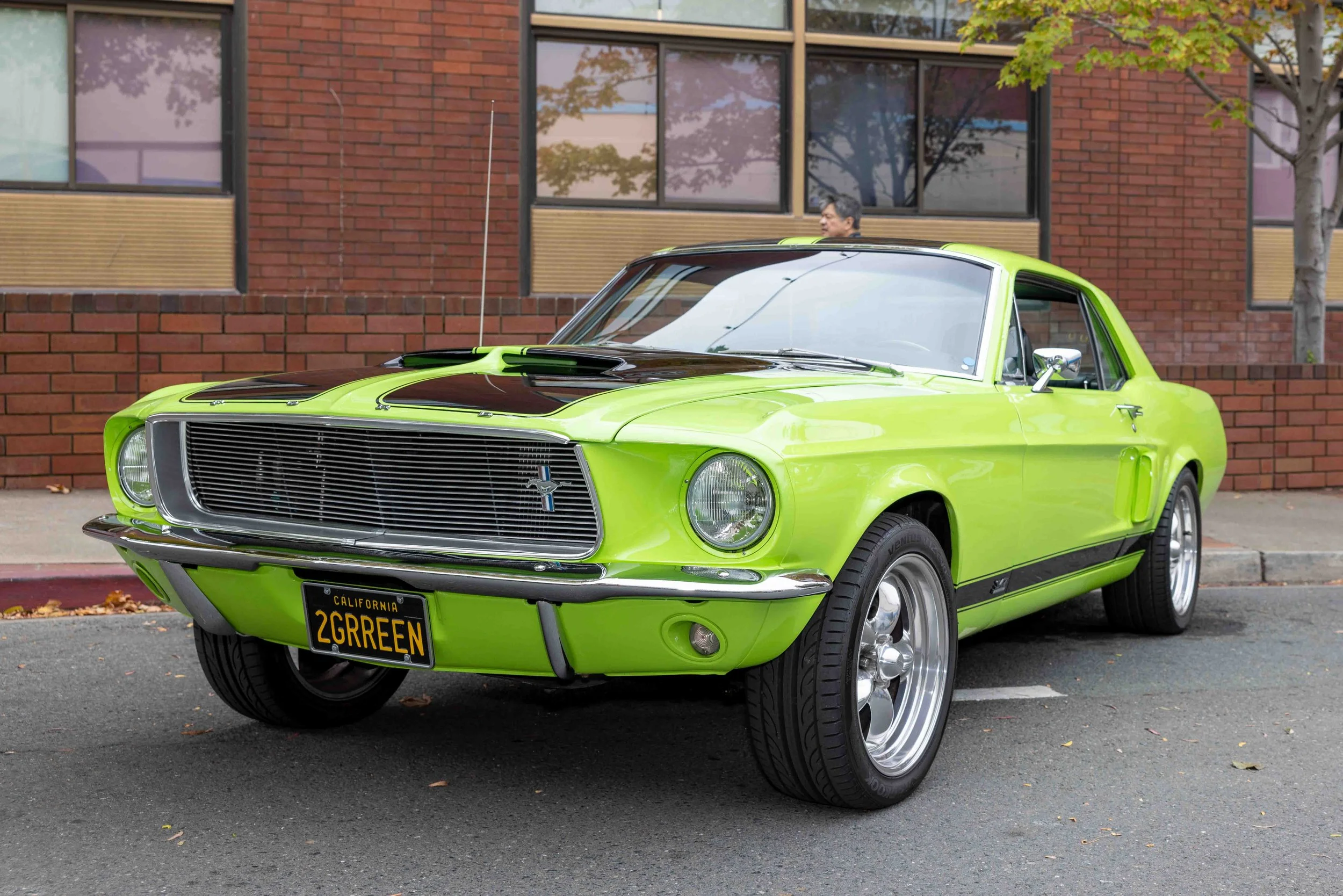 Hot Rods for Paws 2025 (335 of 368).jpg