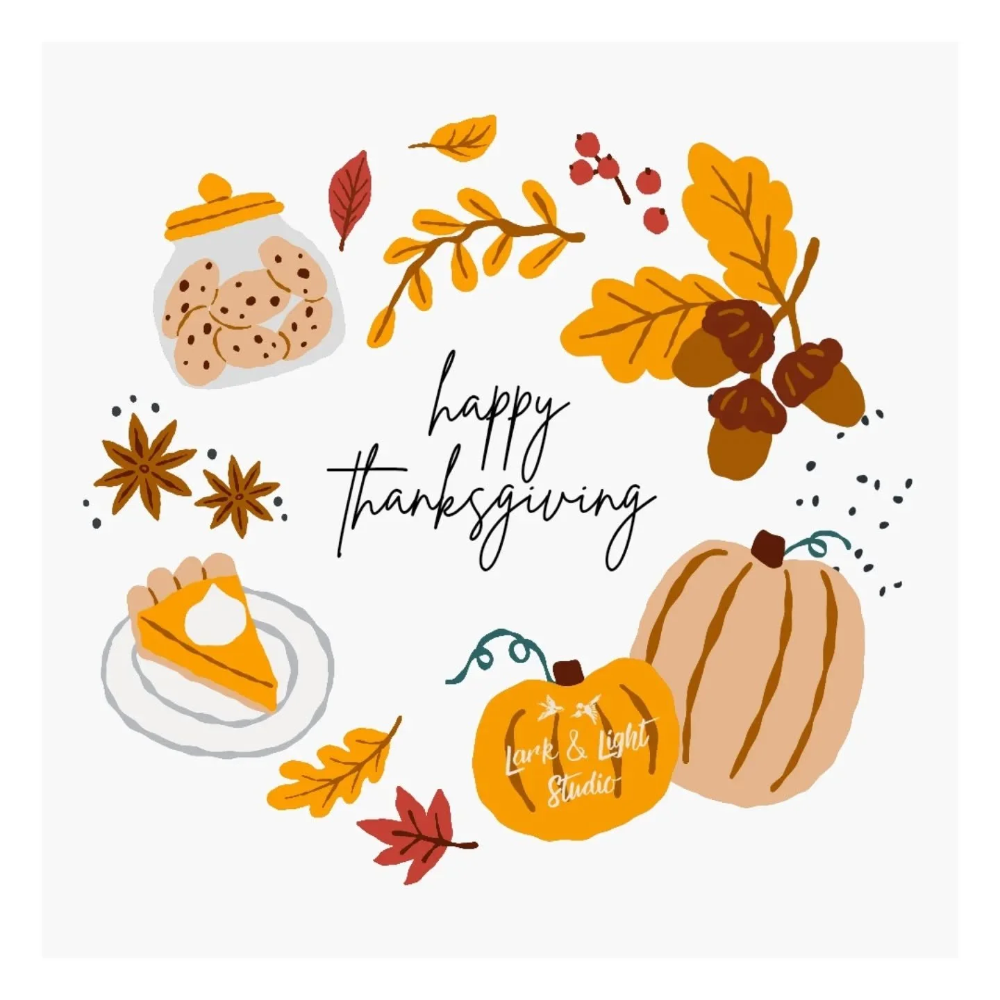 🦃✨ Happy Thanksgiving from Lark &amp; Light Studio! ✨🦃

Families and friends that shine a little brighter when they&rsquo;re together. That&rsquo;s what today&rsquo;s all about.

Whether you&rsquo;re sipping cider (or wine!), wrangling kiddos for a